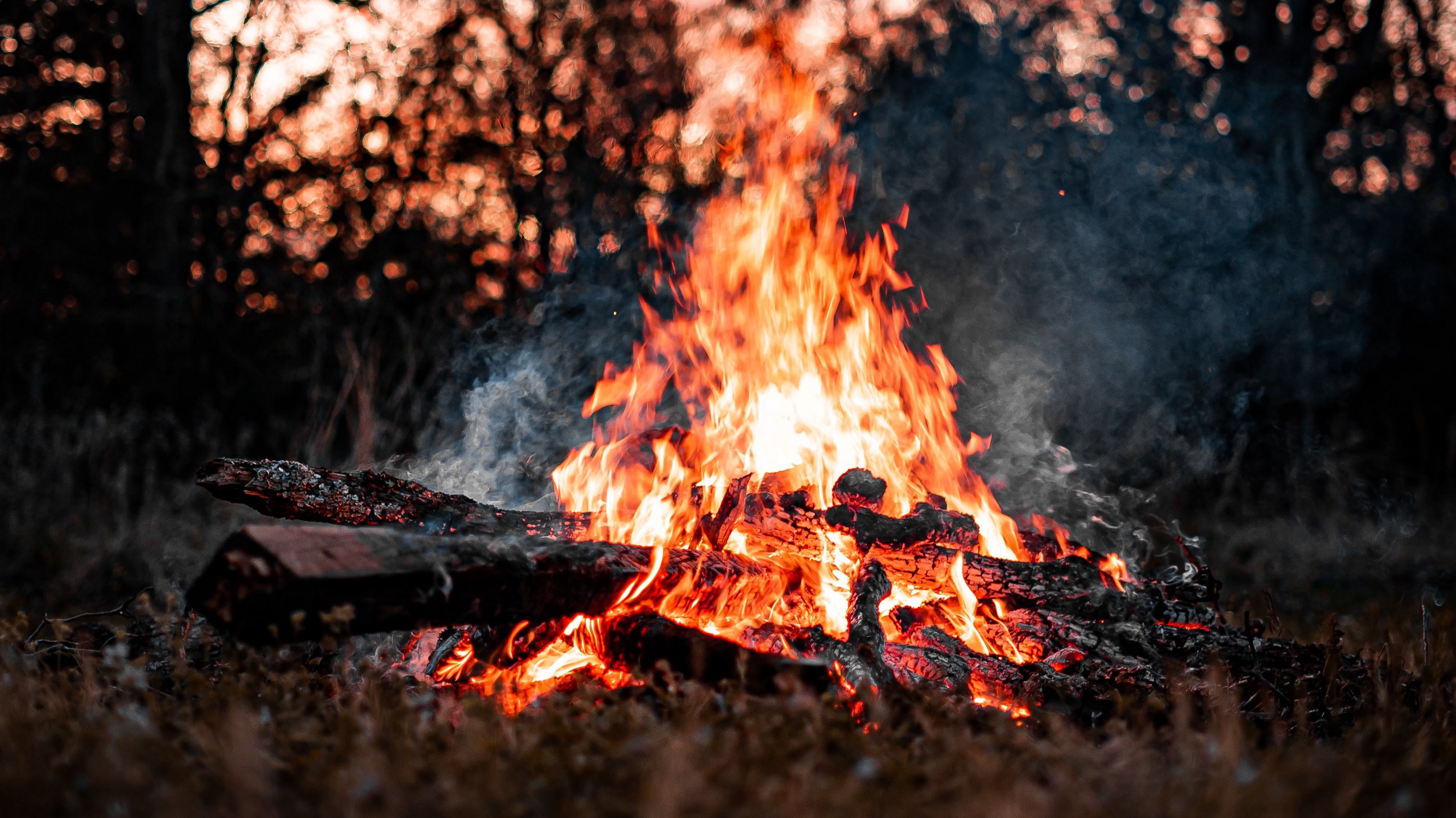 Bonfire Firewood Flame Smoke 2560x1440