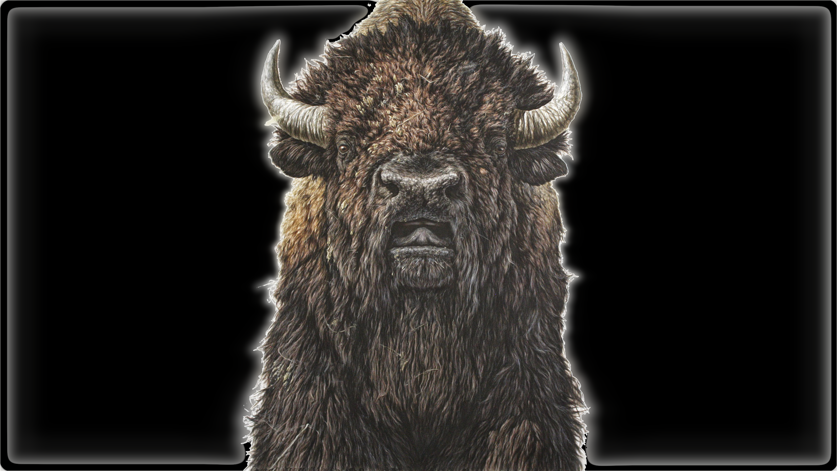 Bison Black Background Animals Mammals Artwork Horns Wallpaper -  Resolution:2844x1600 - ID:1278119 