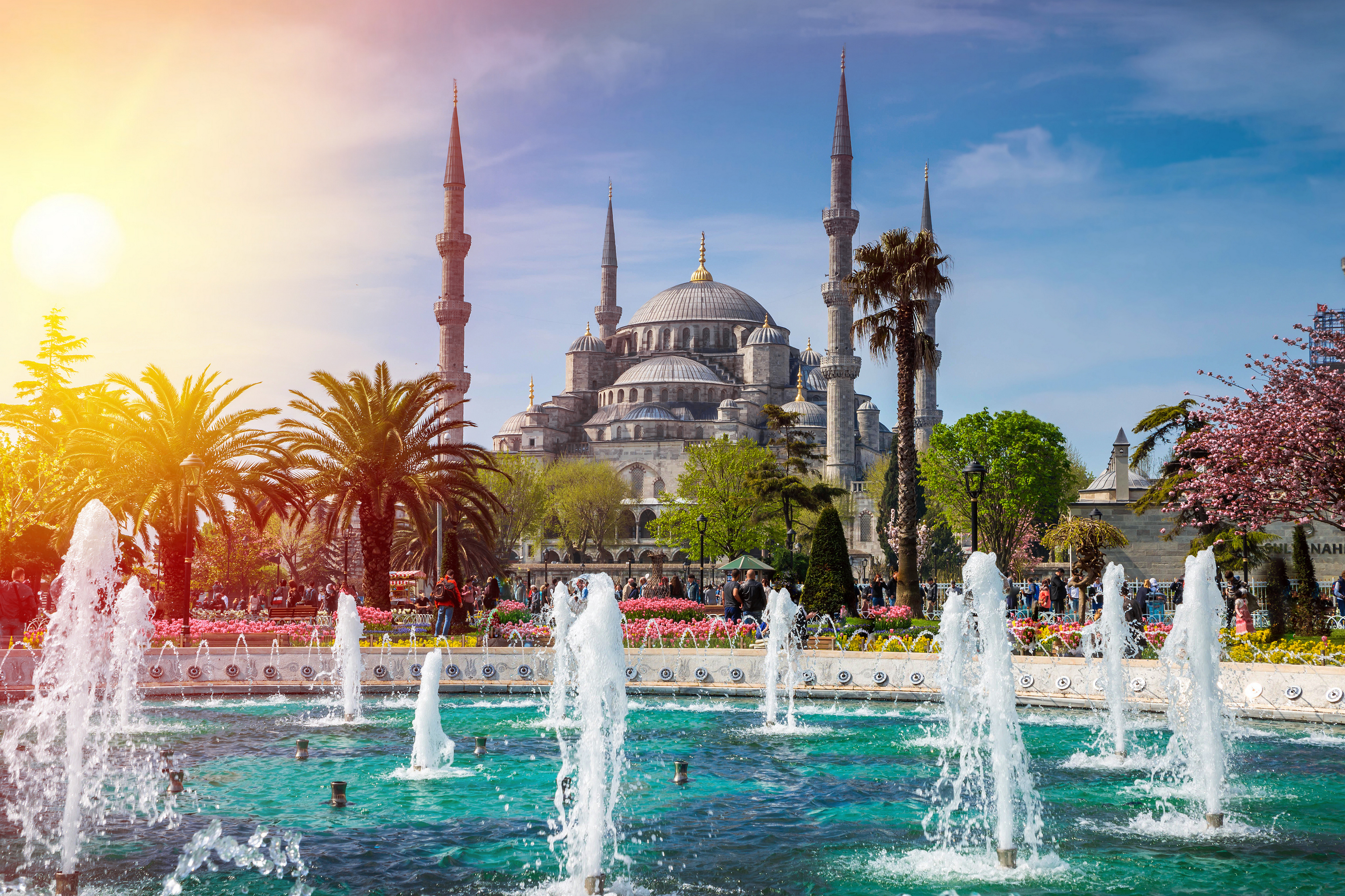 Istanbul Turkey Blue Mosque City Garden Sky Sunlight Mosque Fountain Palm Trees 3840x2560