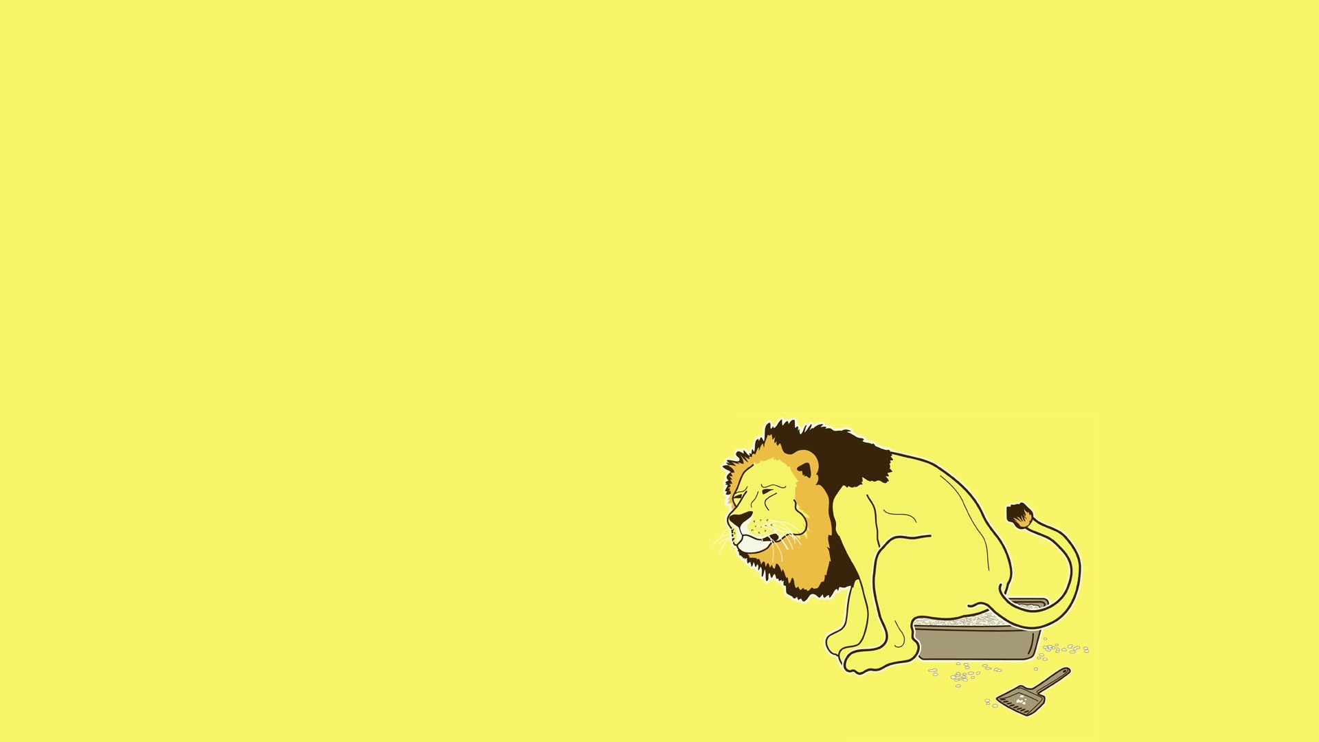 Humor Lion Yellow Simple Simple Background 1920x1080