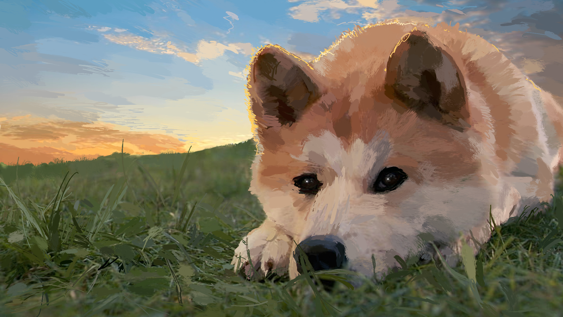 Shiba Inu Shiba Resting Head Doge Sunset 1920x1080