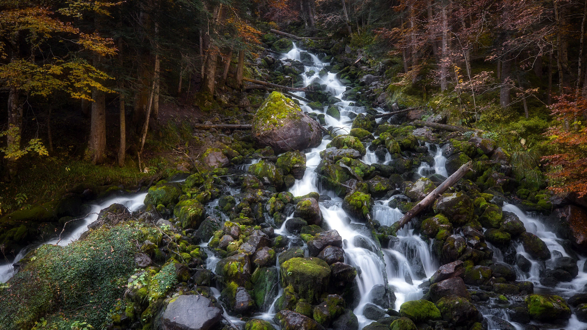 Nature Rock Stones Creeks Trees Outdoors 2048x1152