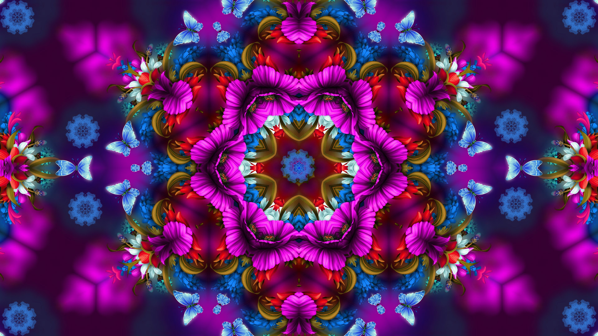 Artistic Butterfly Colors Digital Art Flower Pattern 1920x1080