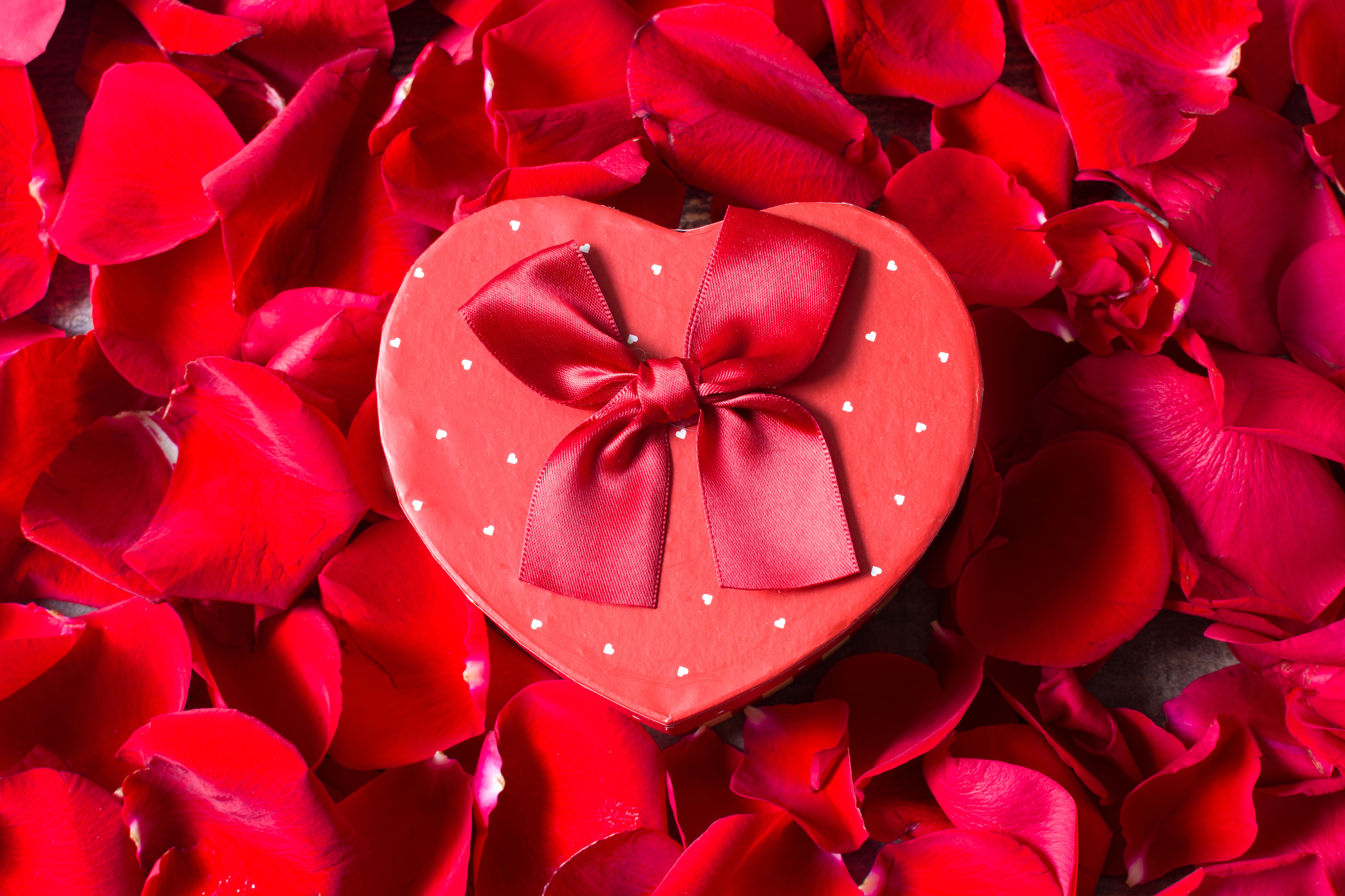 Gift Petal Red Heart Shaped 6000x4000