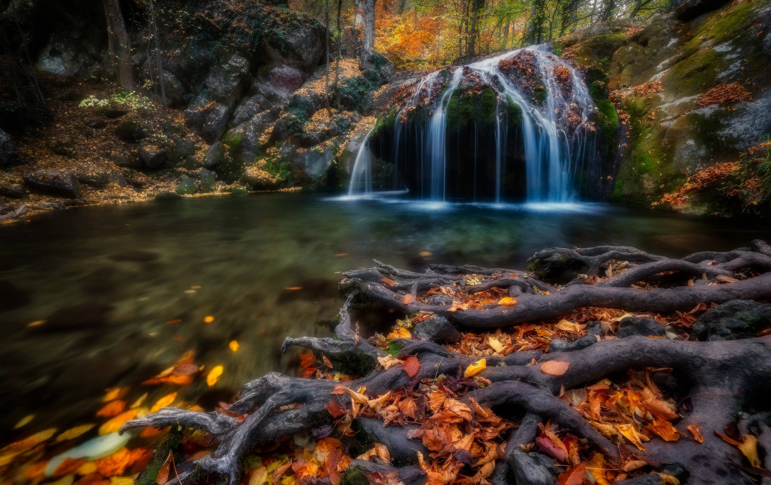 Fall Leaf River Roots Russia Waterfall 2560x1611