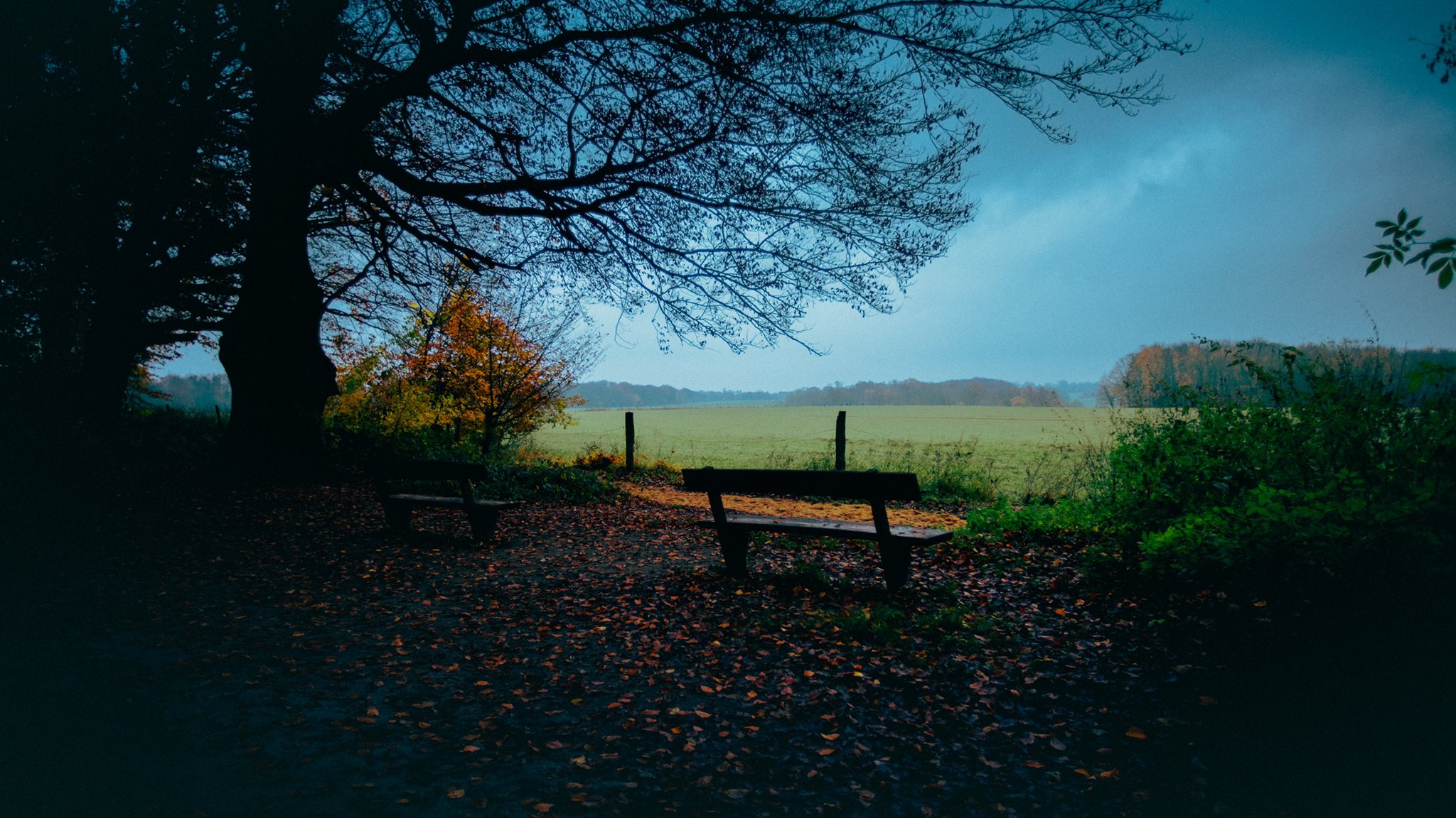 Park Bench Trees Fall Outdoors 2048x1152