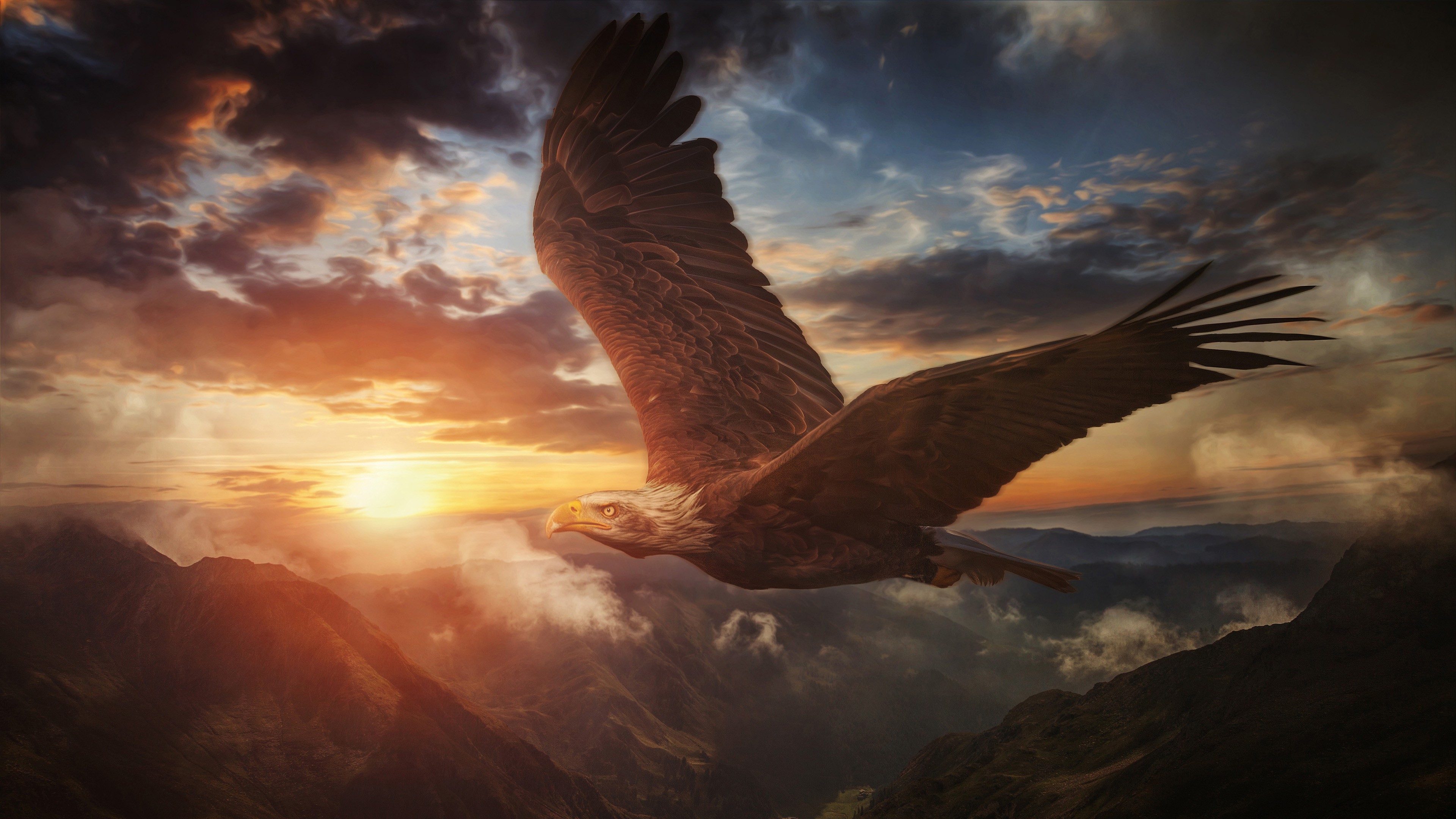 Eagle Sunset Mountain Artistic 3840x2160