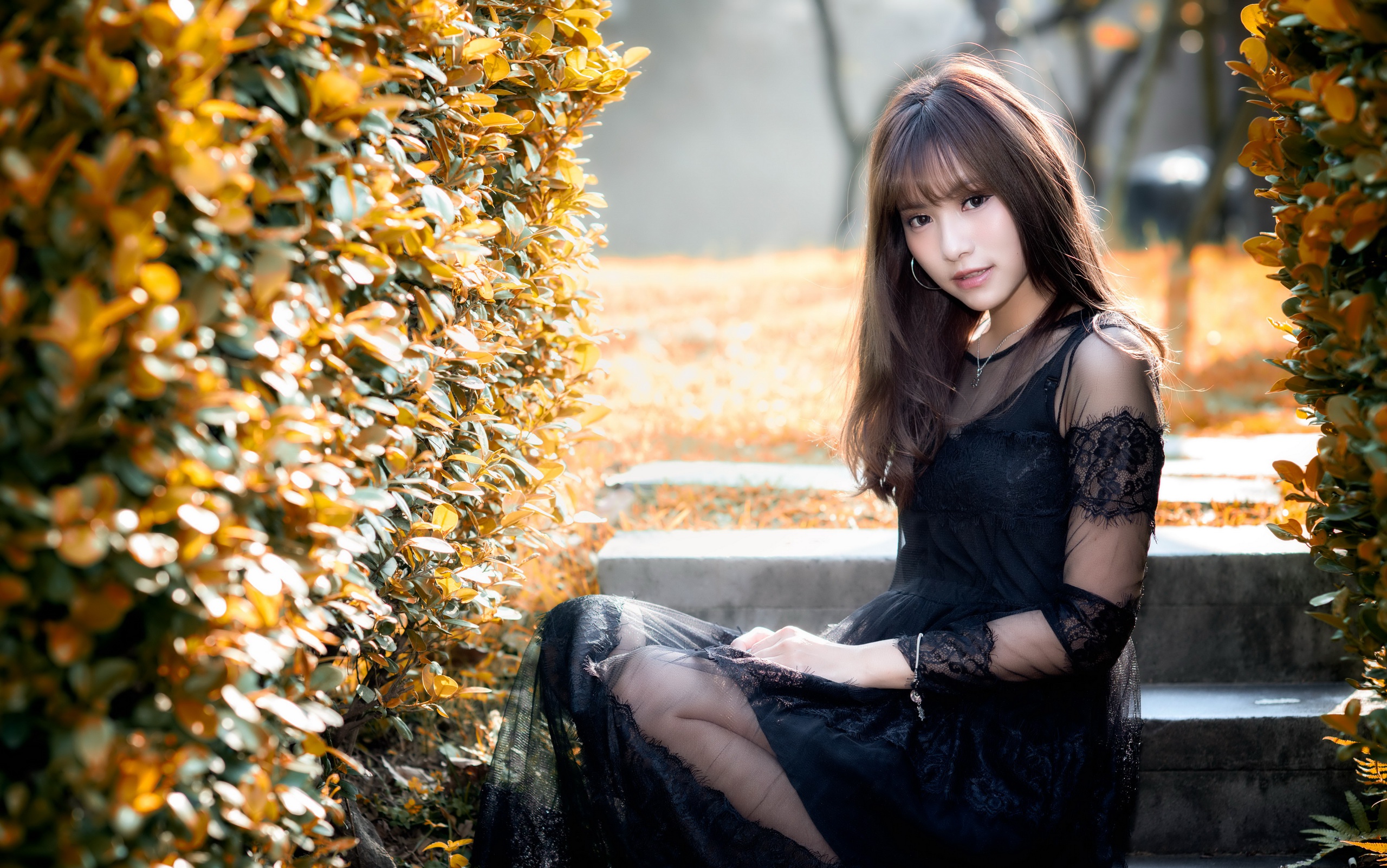 Asian Black Dress Brunette Depth Of Field Girl Model Woman 2560x1603
