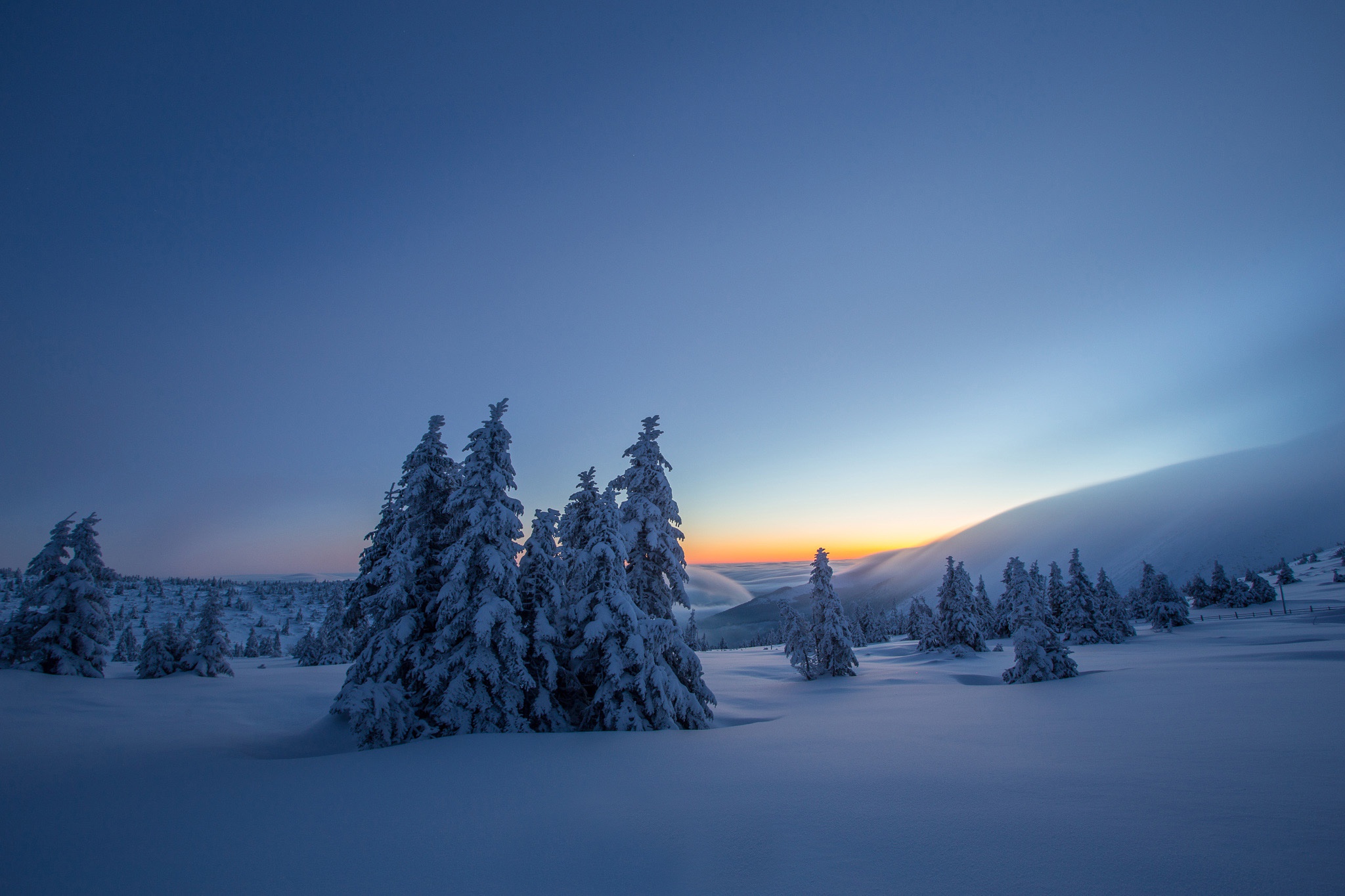 Nature Snow Tree Sunrise Landscape 2048x1365