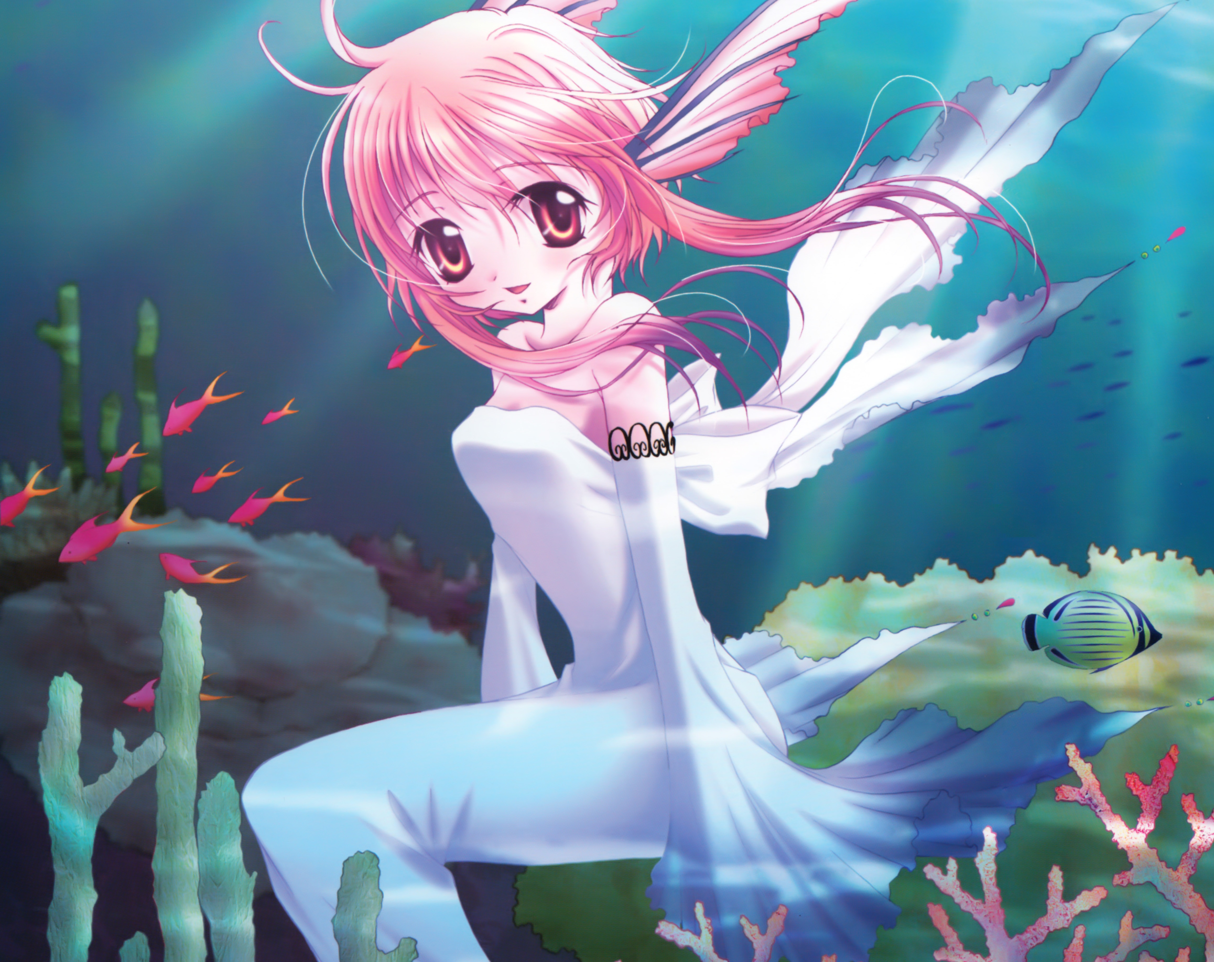 Mermaid Short Hair Pink Hair Pink Eyes Fish Smile Blush Coral 4632x3672