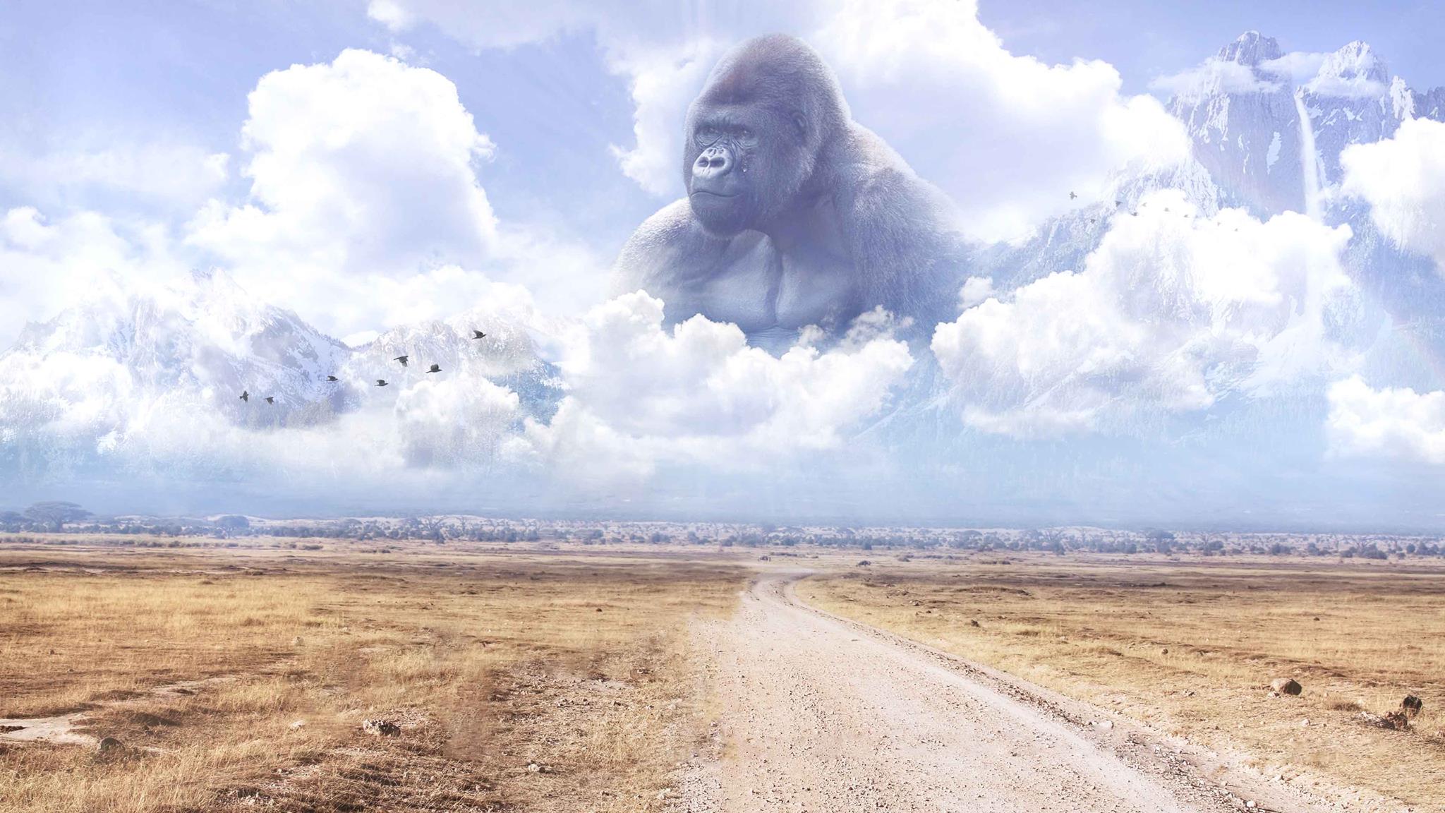 Harambe Landscape Monkey Road Clouds Memes 2048x1152