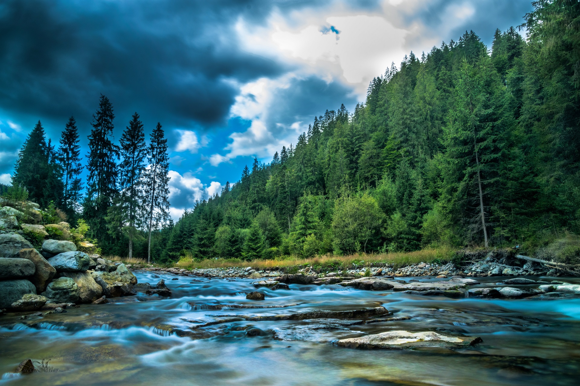 Nature River Forest Trees 1920x1280