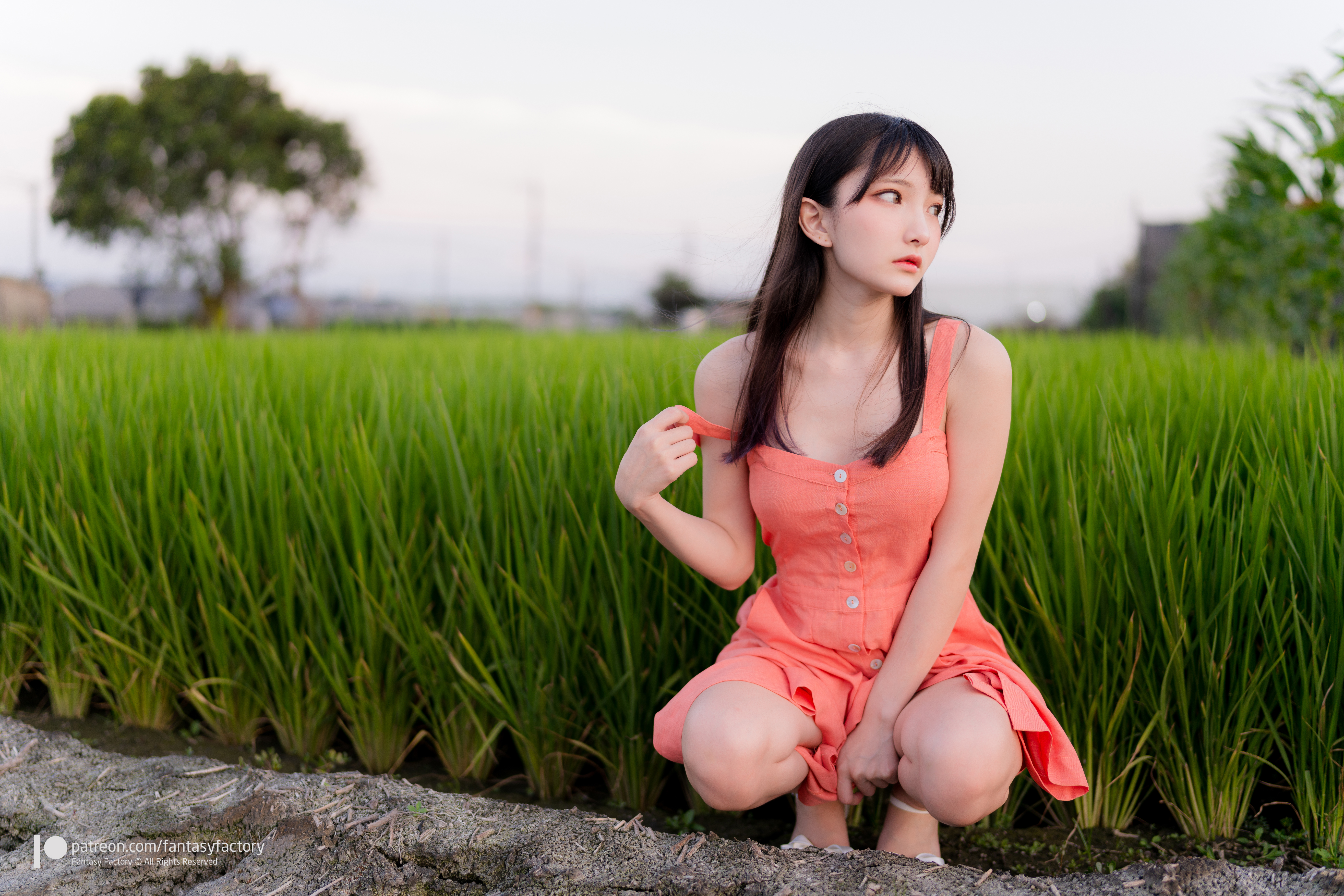 Women Model Asian Brunette Bangs Dress Bare Shoulders Rice Fields Outdoors Women Outdoors Parted Lip 7952x5304