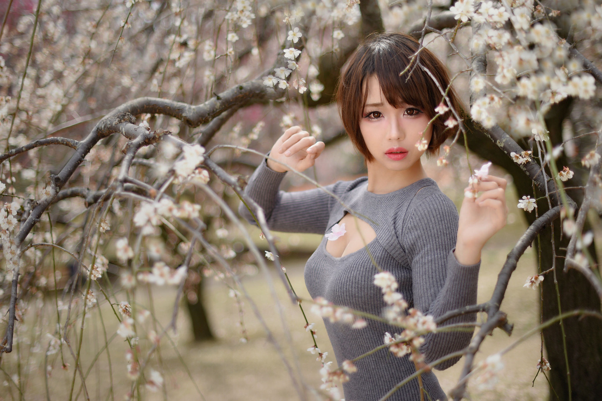 Blossom Brown Eyes Brunette Depth Of Field Girl Lipstick Model Sakura Short Hair Spring Woman 2048x1365