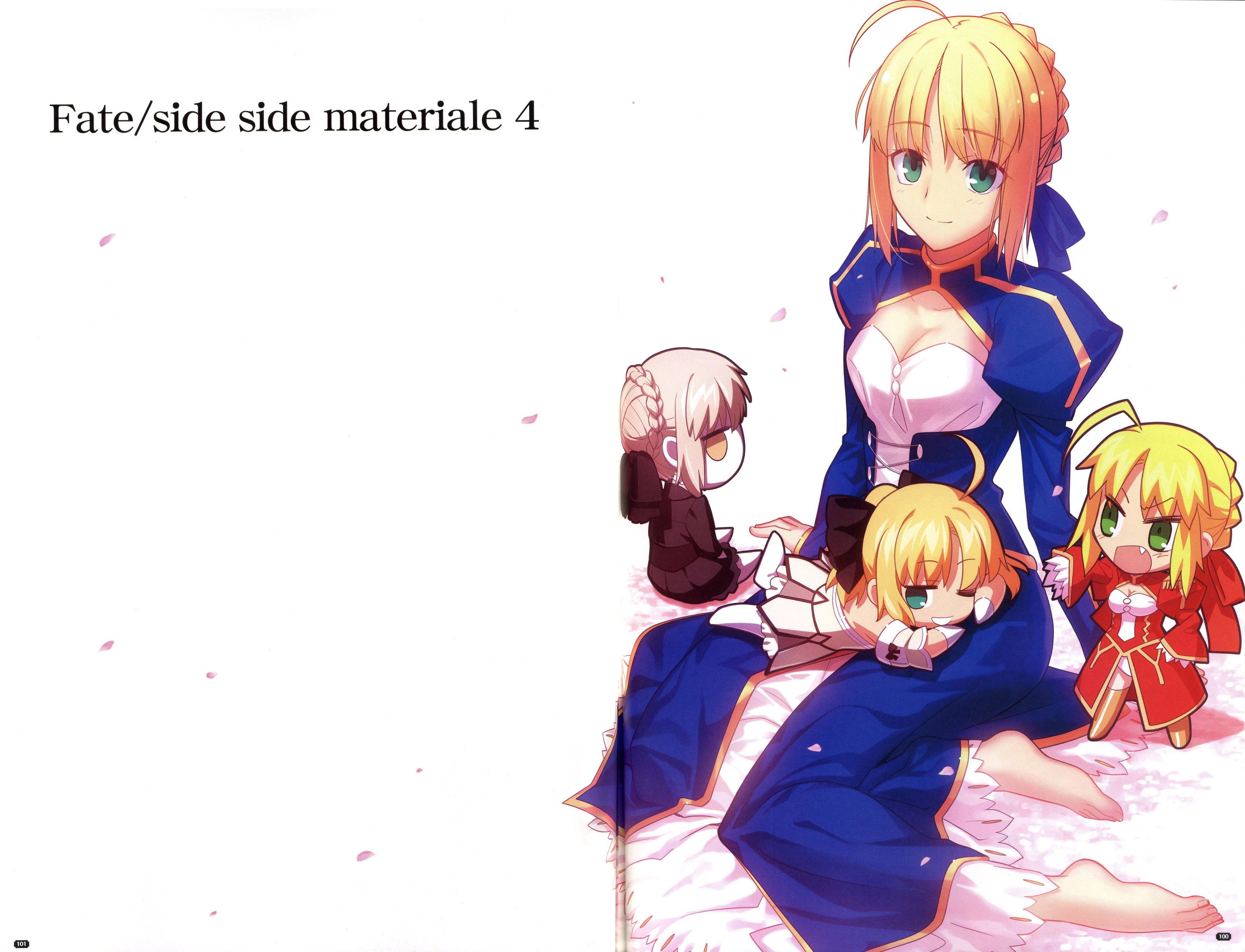 Anime Anime Girls Fate Series Fate Stay Night Fate Stay Night Heavens Feel Fate Extra Fate Extra CCC 4111x3145