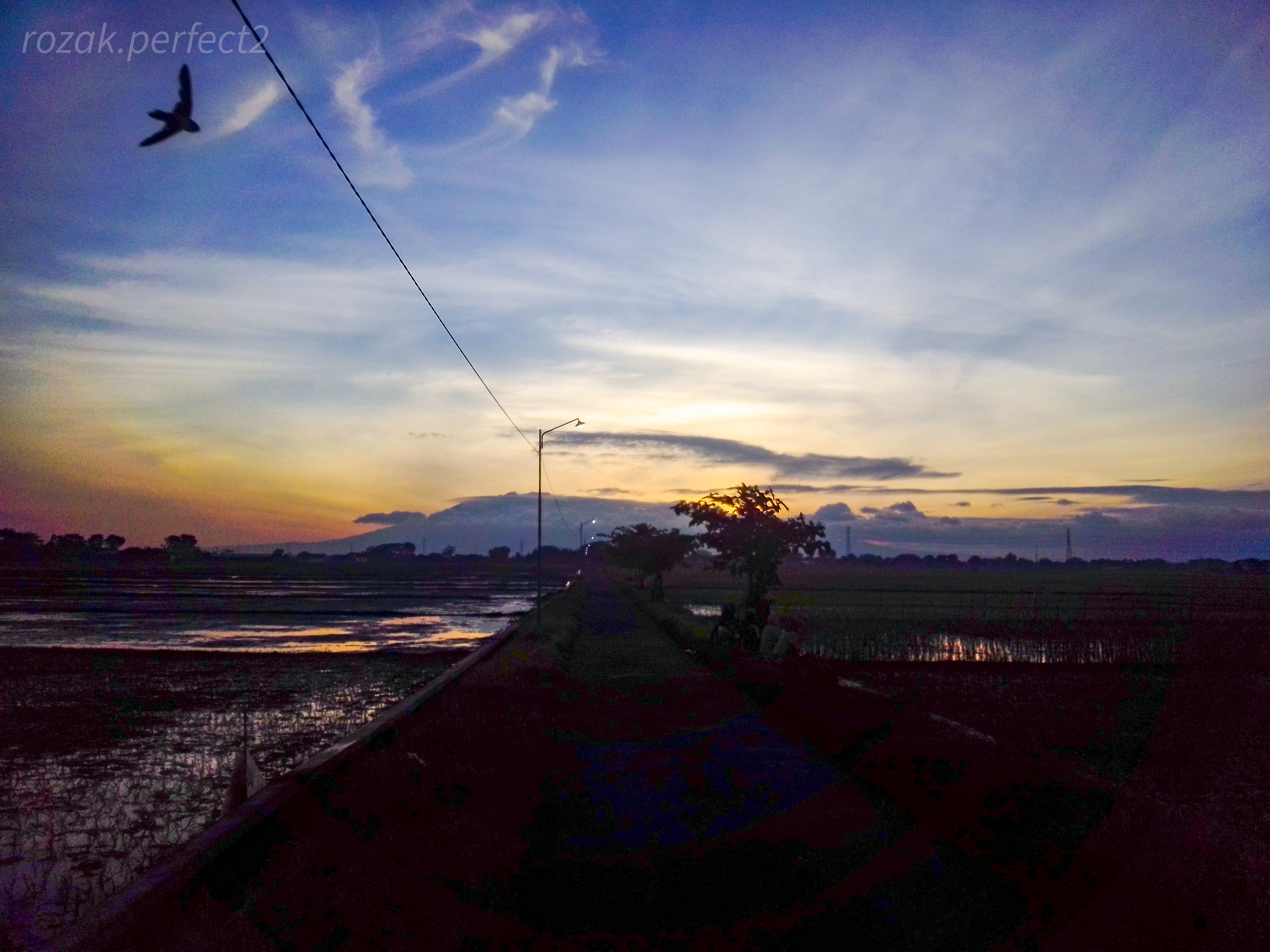 Morning Landscape Morning View Indonesia Rice Fields Rice Rice Paddy Rice Terrace 4160x3120