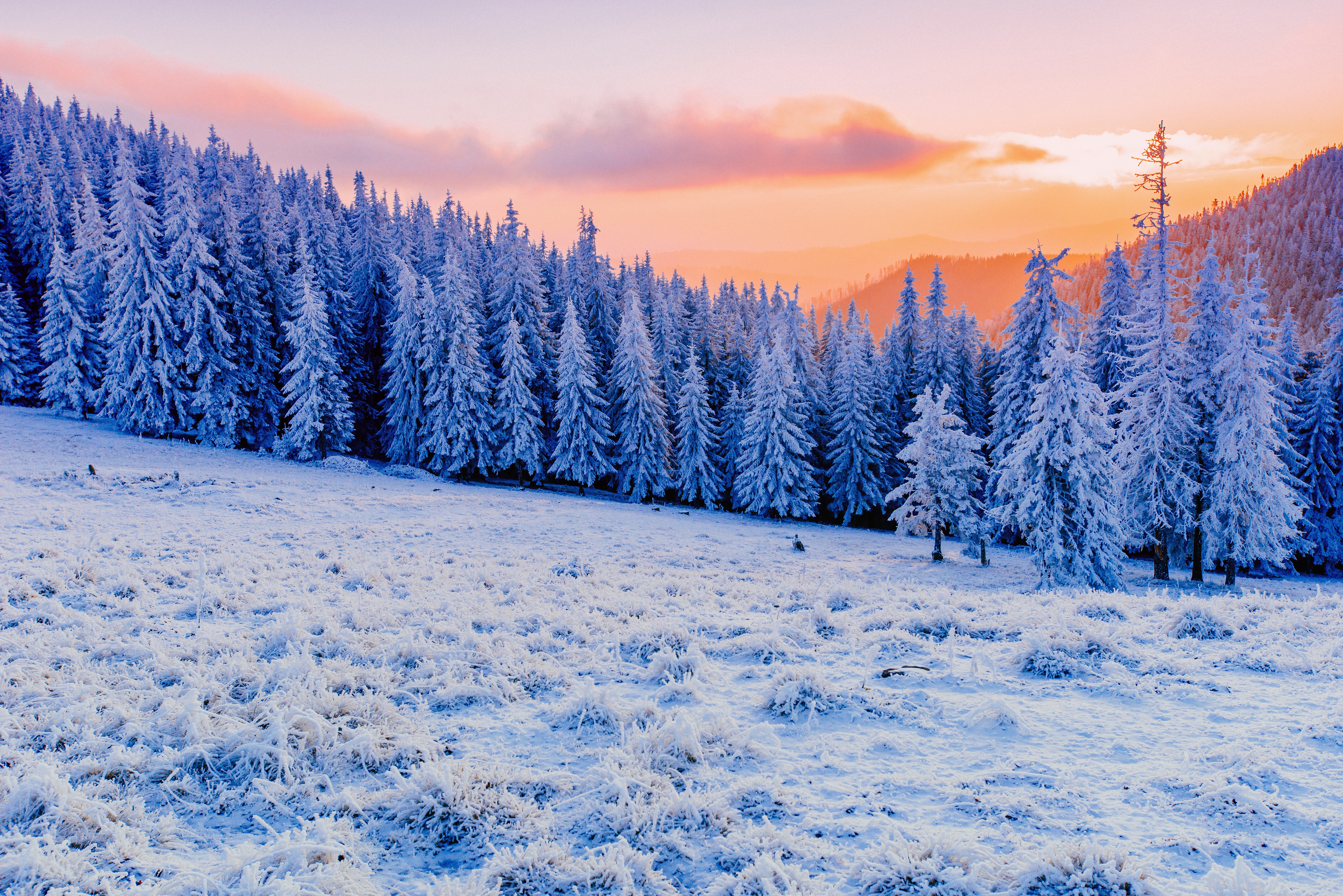 Winter Fir Nature Landscape Hills Mountains Sunset Snow Sky Forest Trees White Cold Sun Mist Sunligh 5000x3337