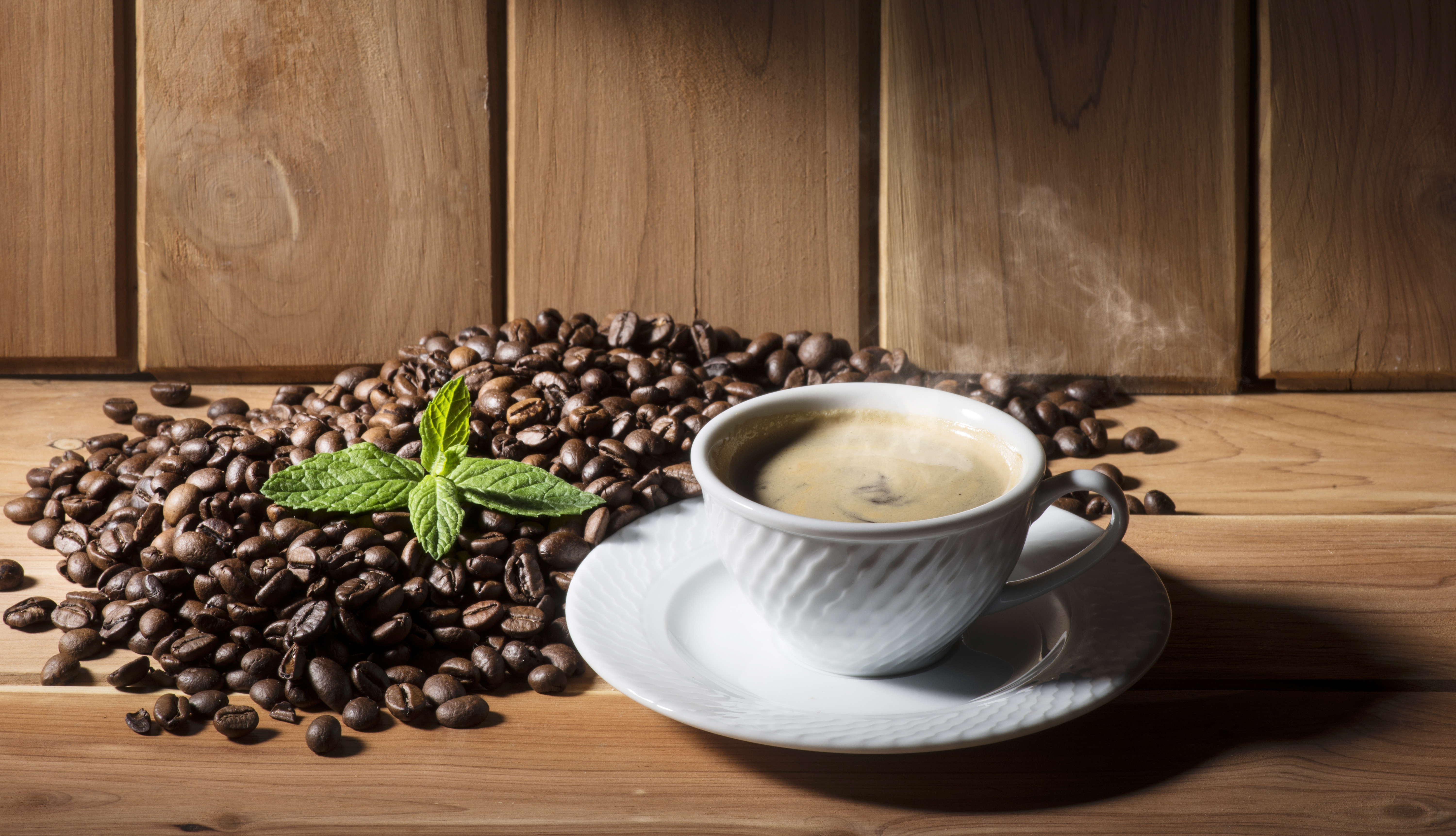 Coffee Beans Cup Still Life 6000x3444