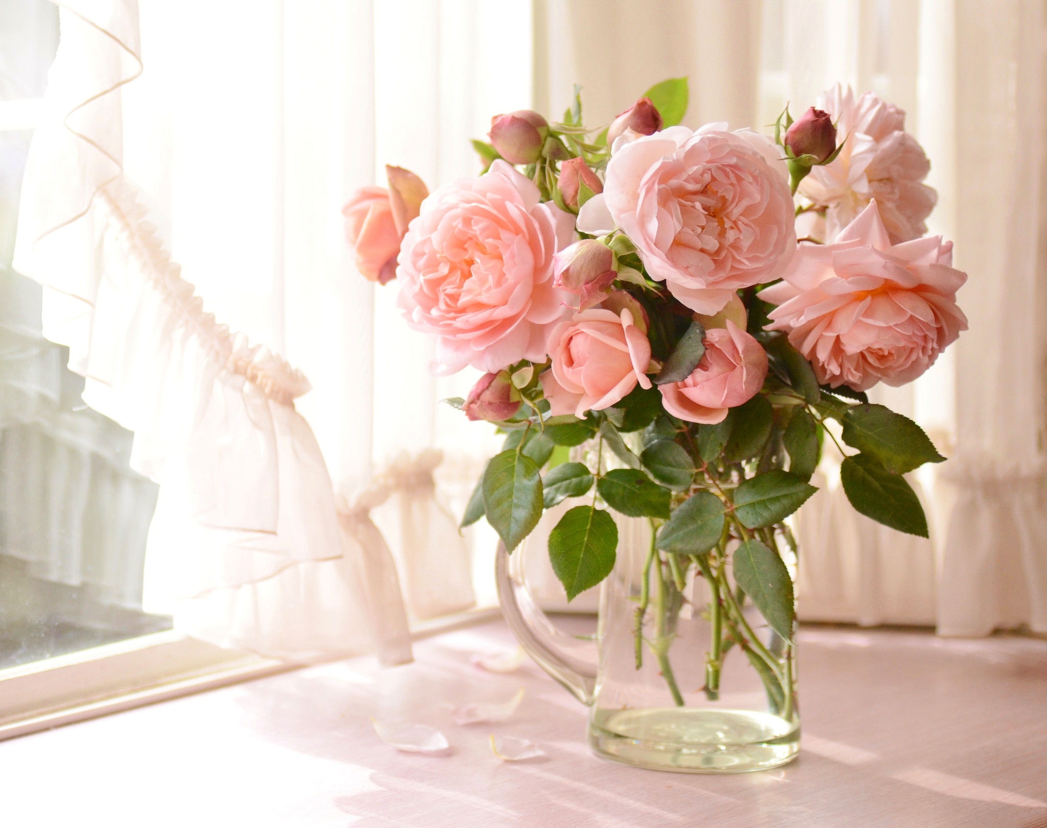 Earth Peony Rose Vase Still Life Pink Flower 2048x1621