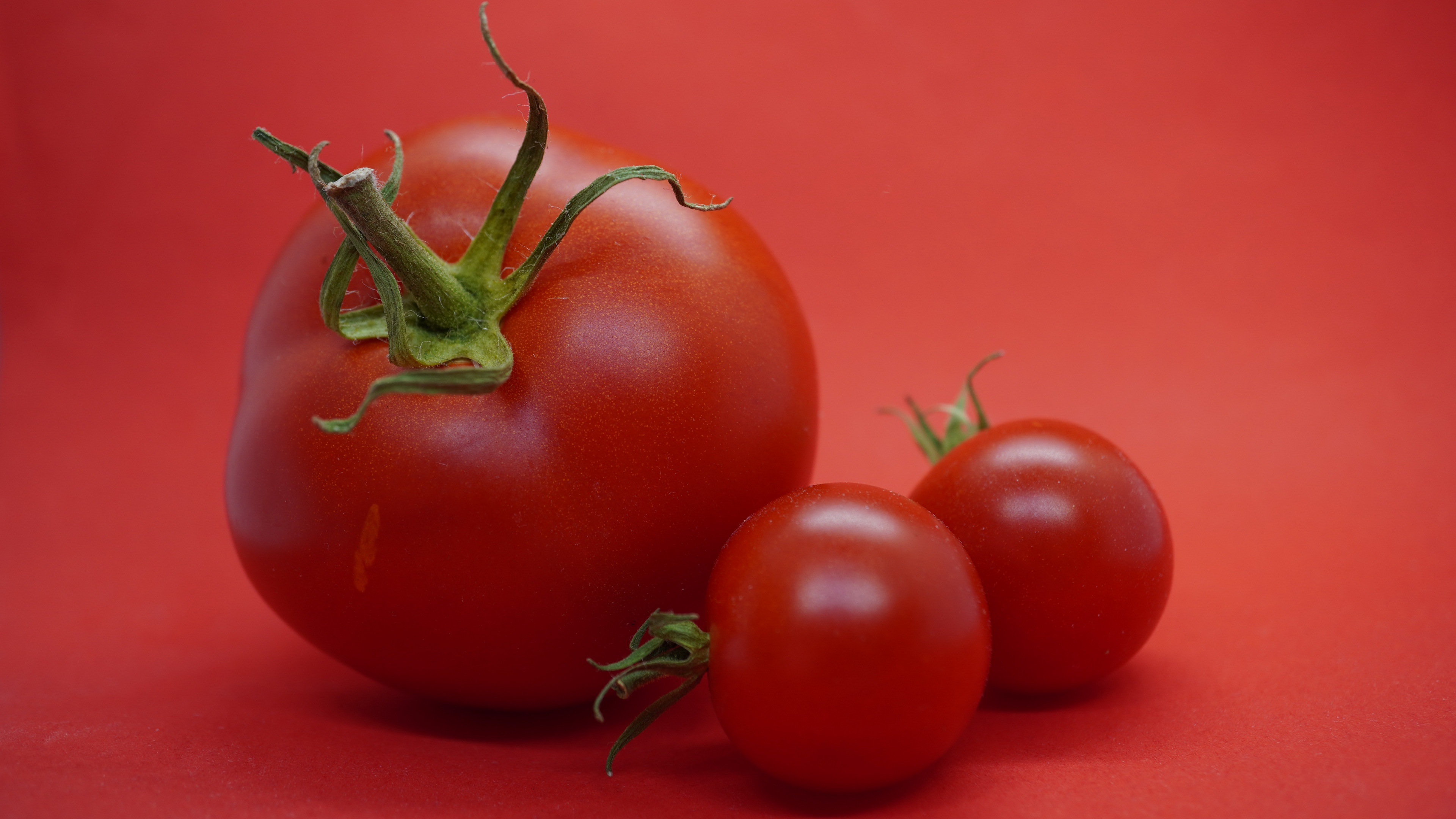 Red Background Red Tomatoes Food Vegetables Simple Background 3840x2160