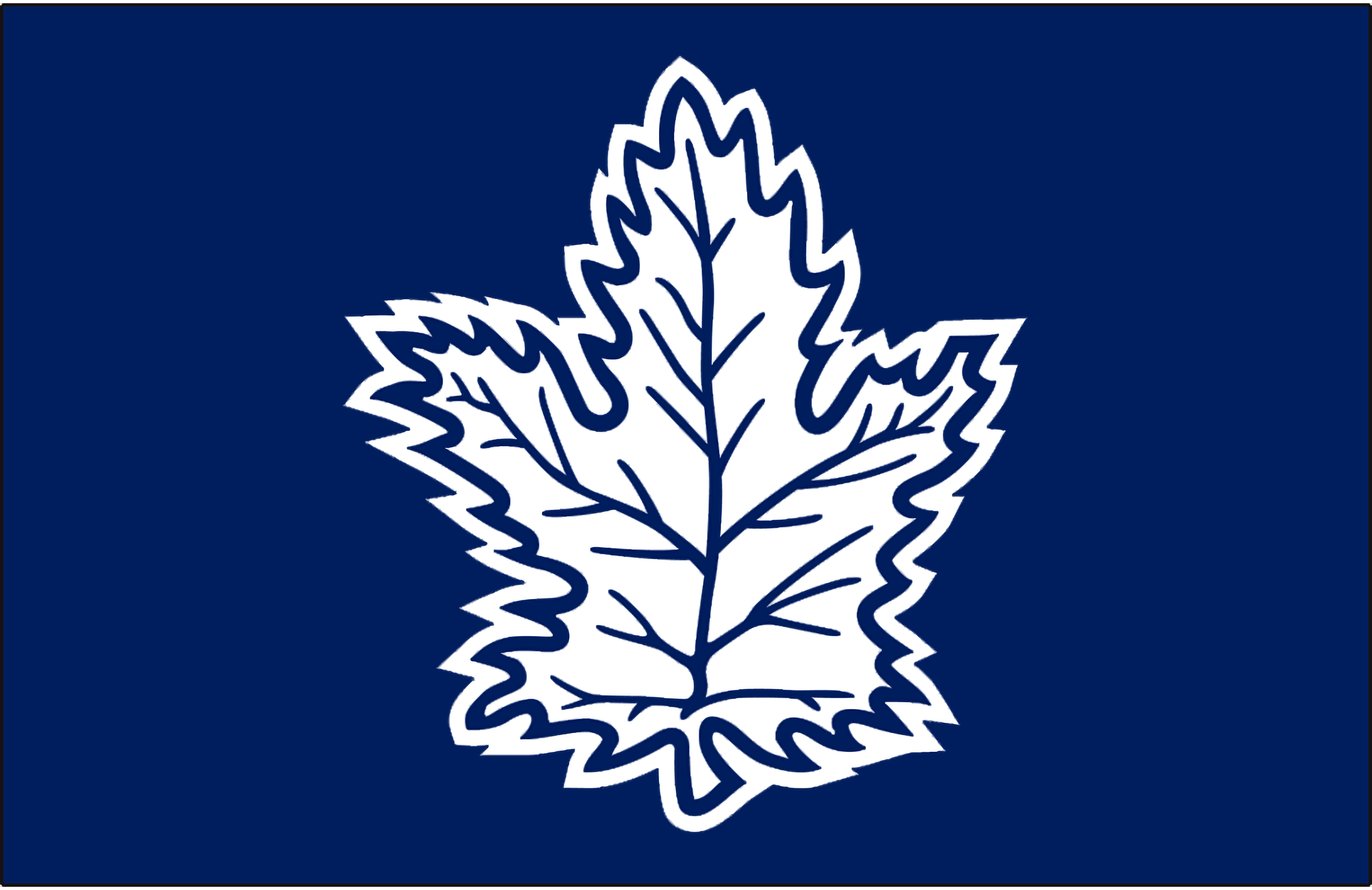 Sports Toronto Maple Leafs 2560x1661