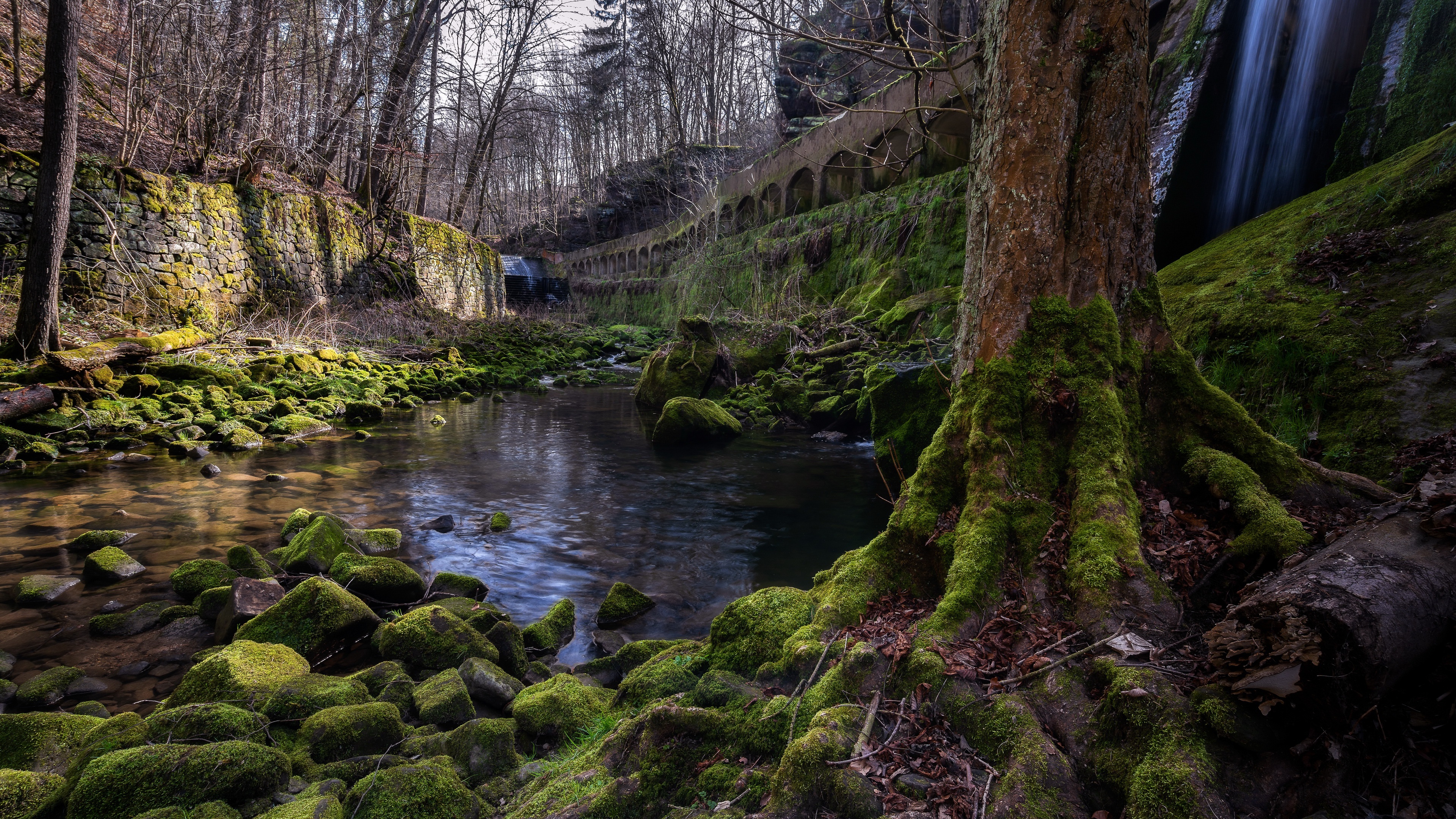 Nature Tree Moss Stone Stream 3840x2160