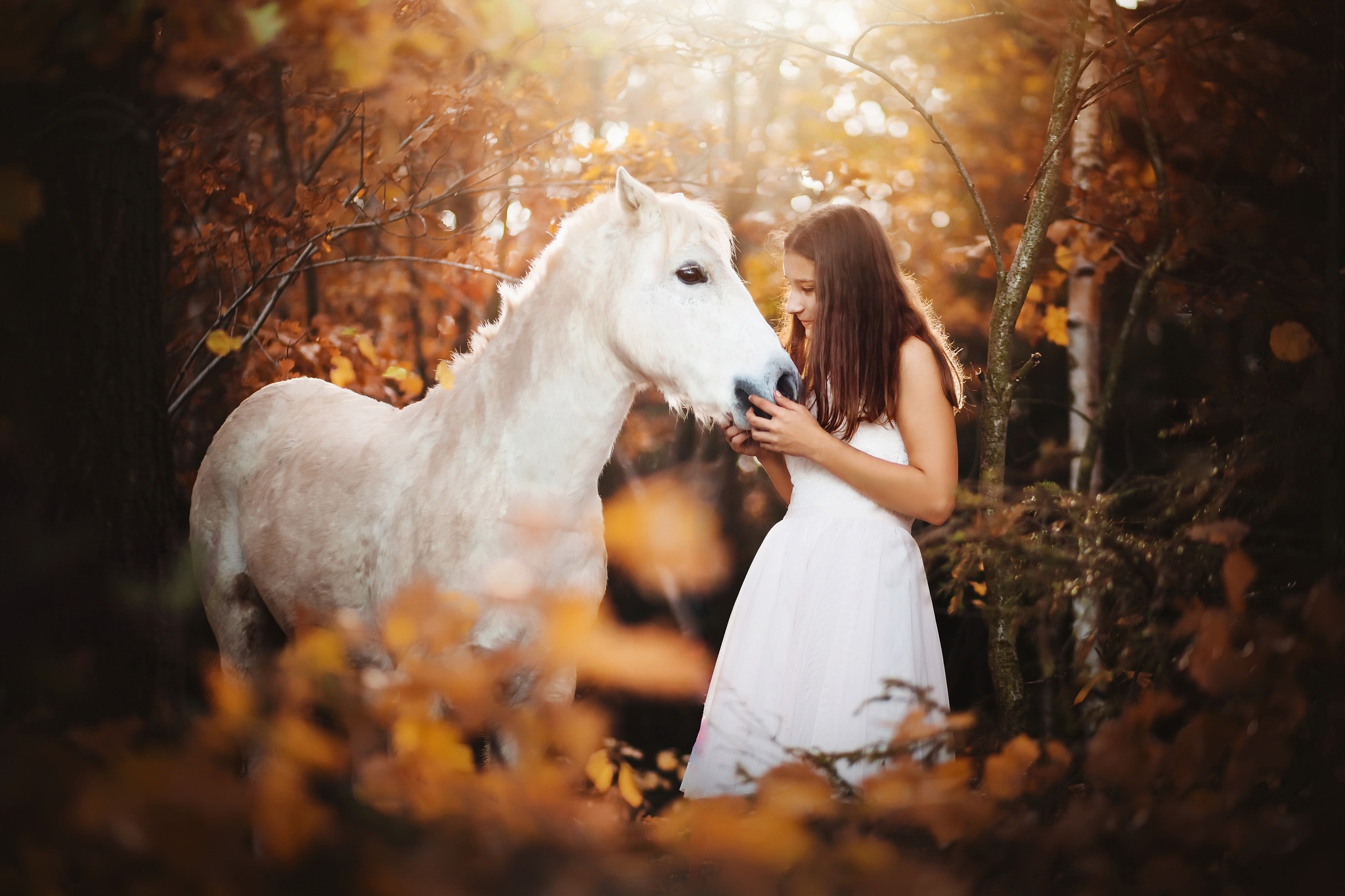 Woman Model Girl Horse Fall White Dress Brunette 2048x1365