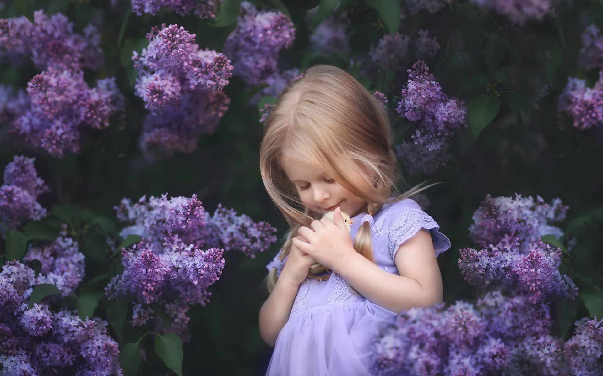Little Girl Cuddle Lilac Purple Flower 1920x1200