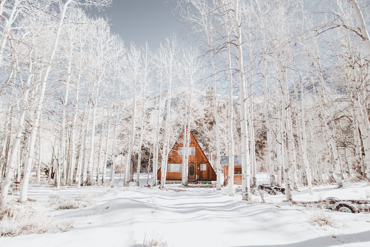 Winter Nature Cottage White Snow Pastel Forest Landscape 1500x1000
