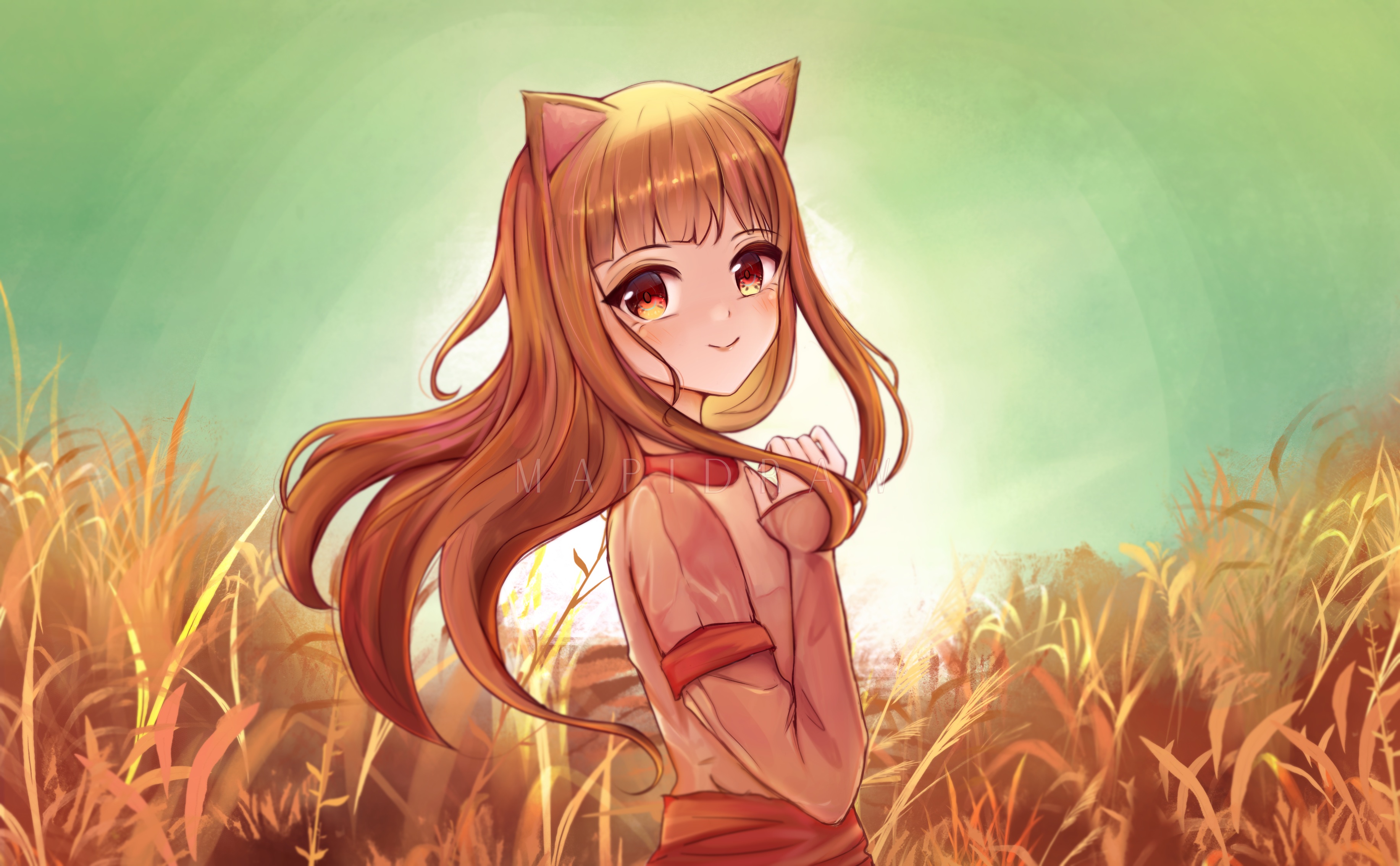 Anime Anime Girls Spice And Wolf Holo Spice And Wolf Wolf Girls 3667x2268