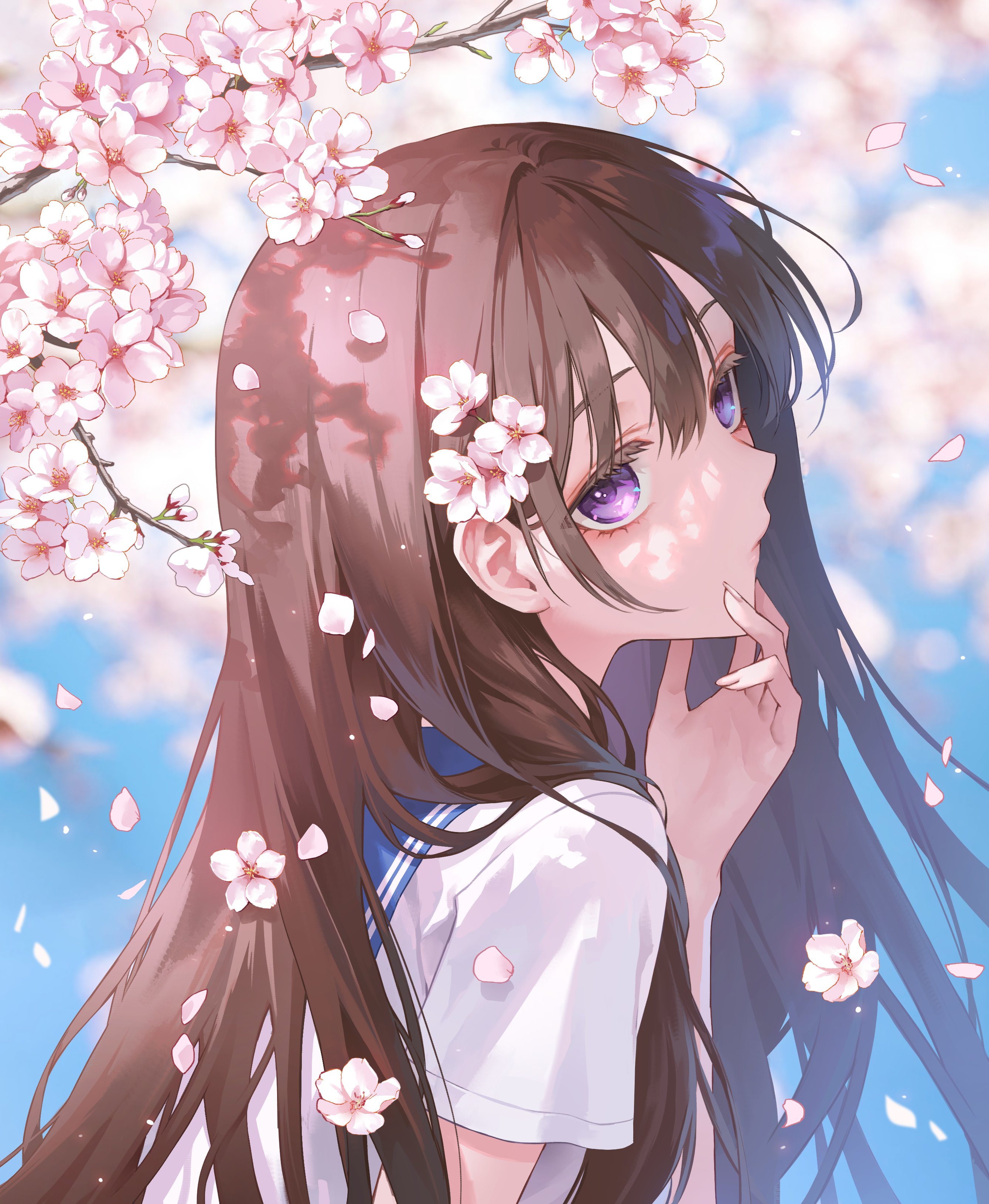 Digital Anime Anime Girls Sakura Tree Brunette Pedals 2677x3259