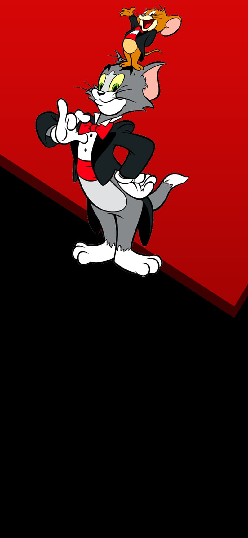 Tom And Jerry Wallpaper - Resolution:800x1733 - ID:1273244 