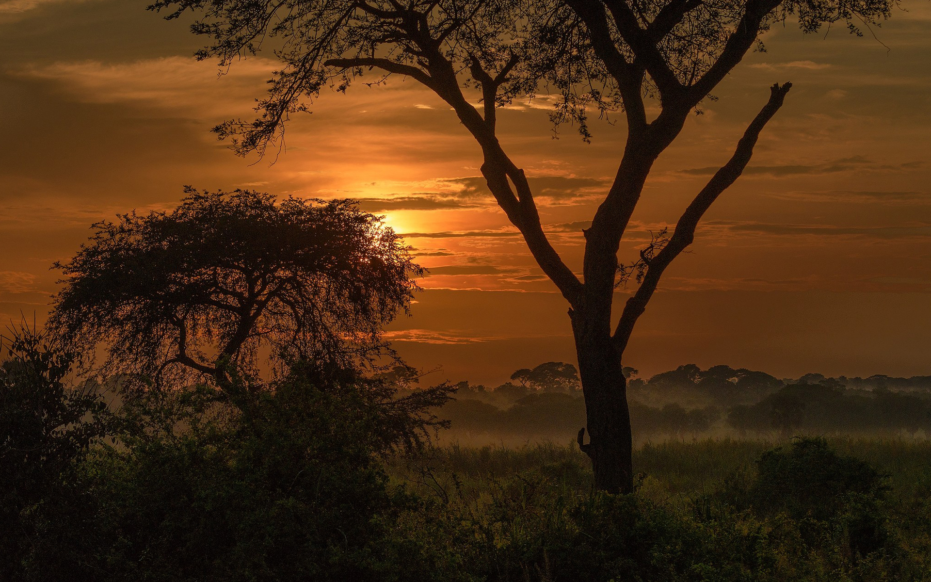 Sunset Trees Silhouette Africa Nature Landscape 1920x1200