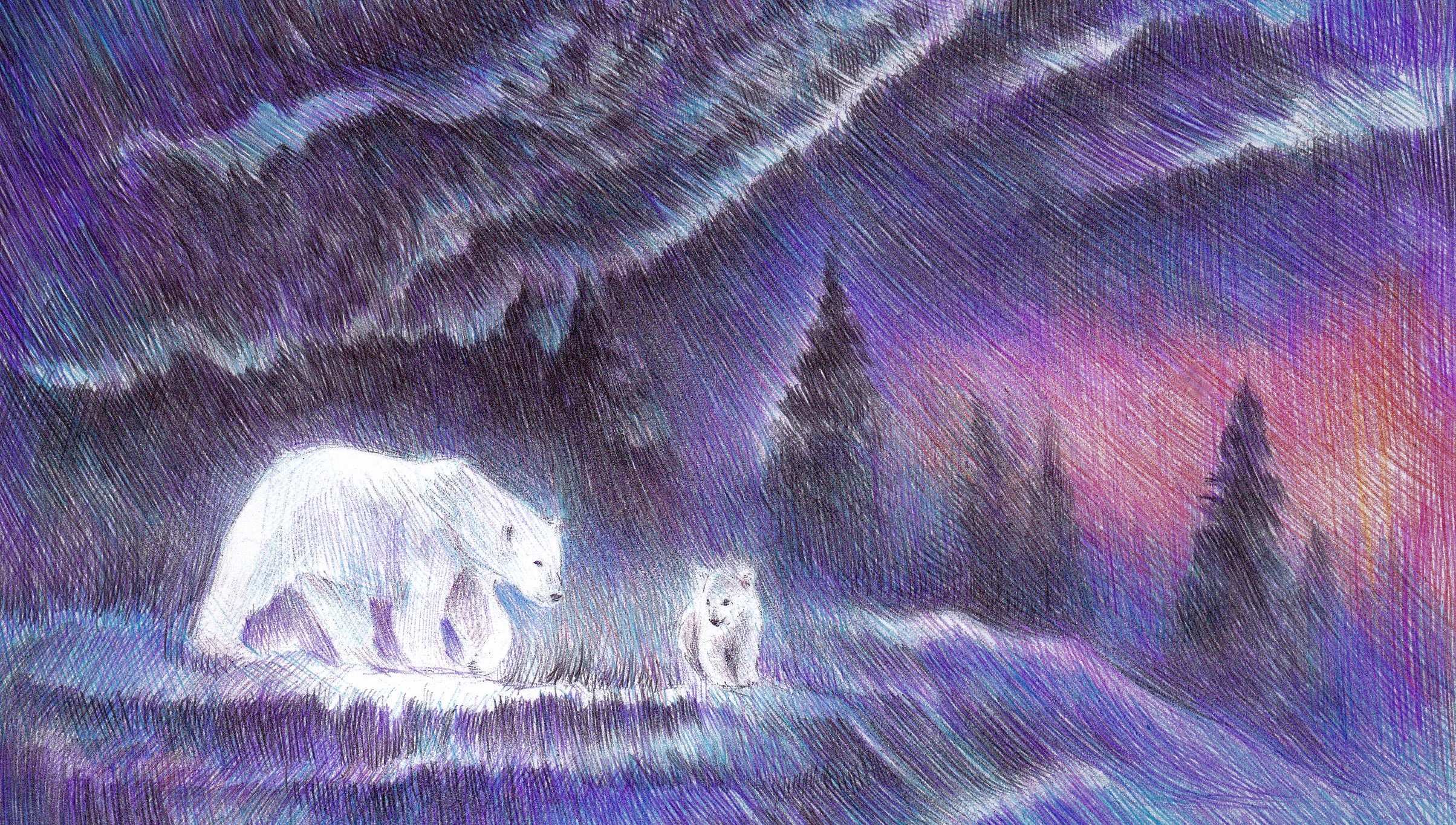 Painting Winter Polar Bears Night Sky 2408x1365