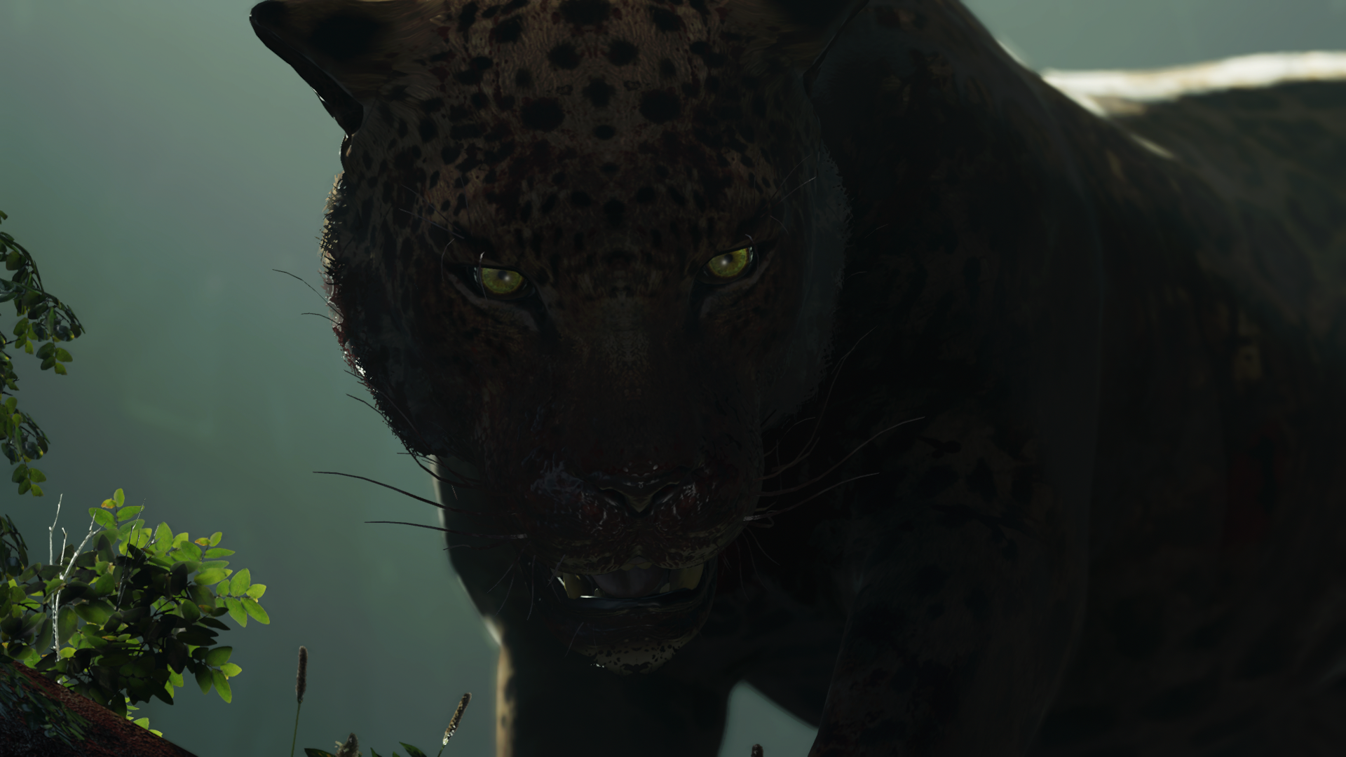 Shadow Of The Tomb Raider Leopard Video Game Animals Video Games 1920x1080