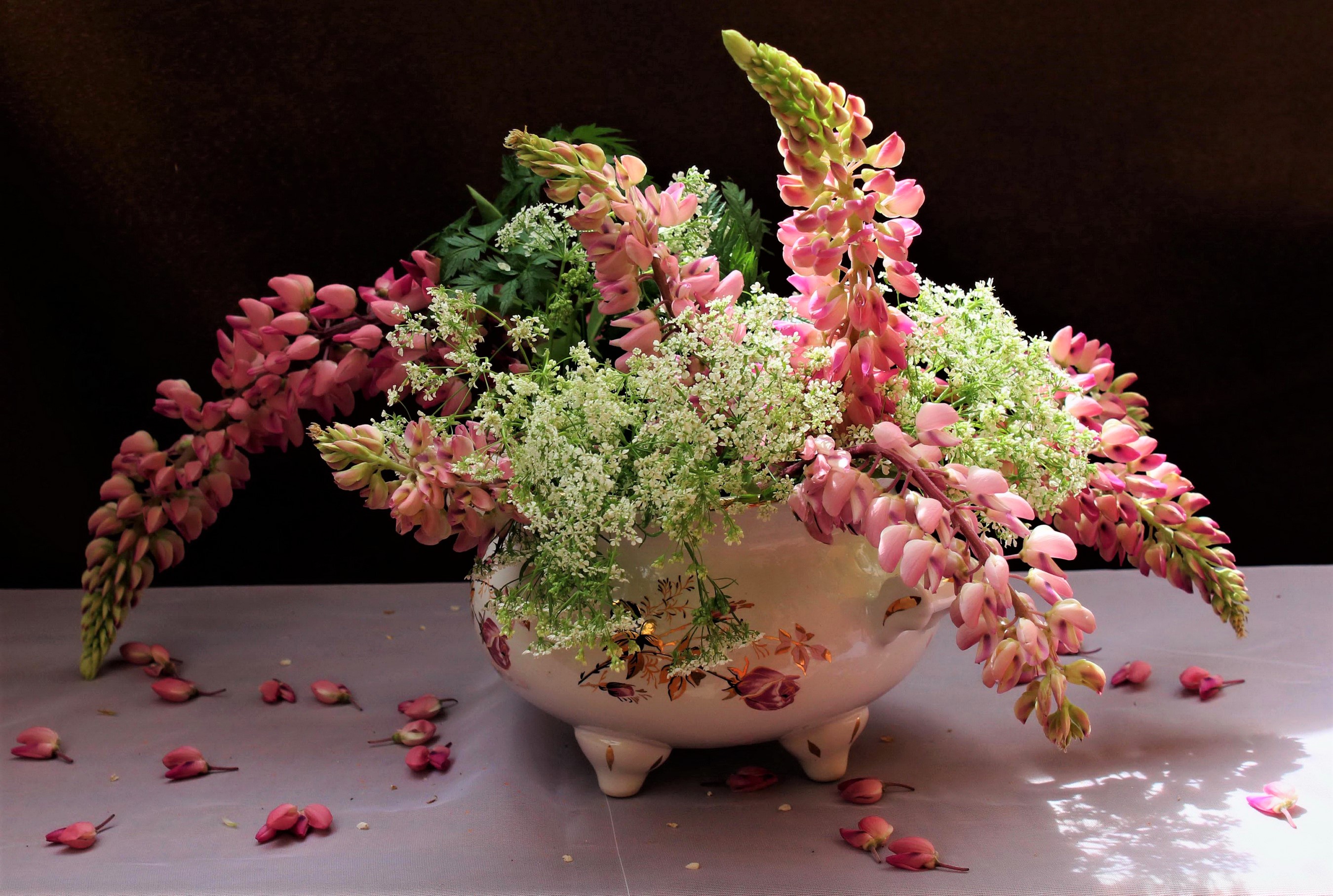 Flower Lupine Pink Flower Vase 2700x1816