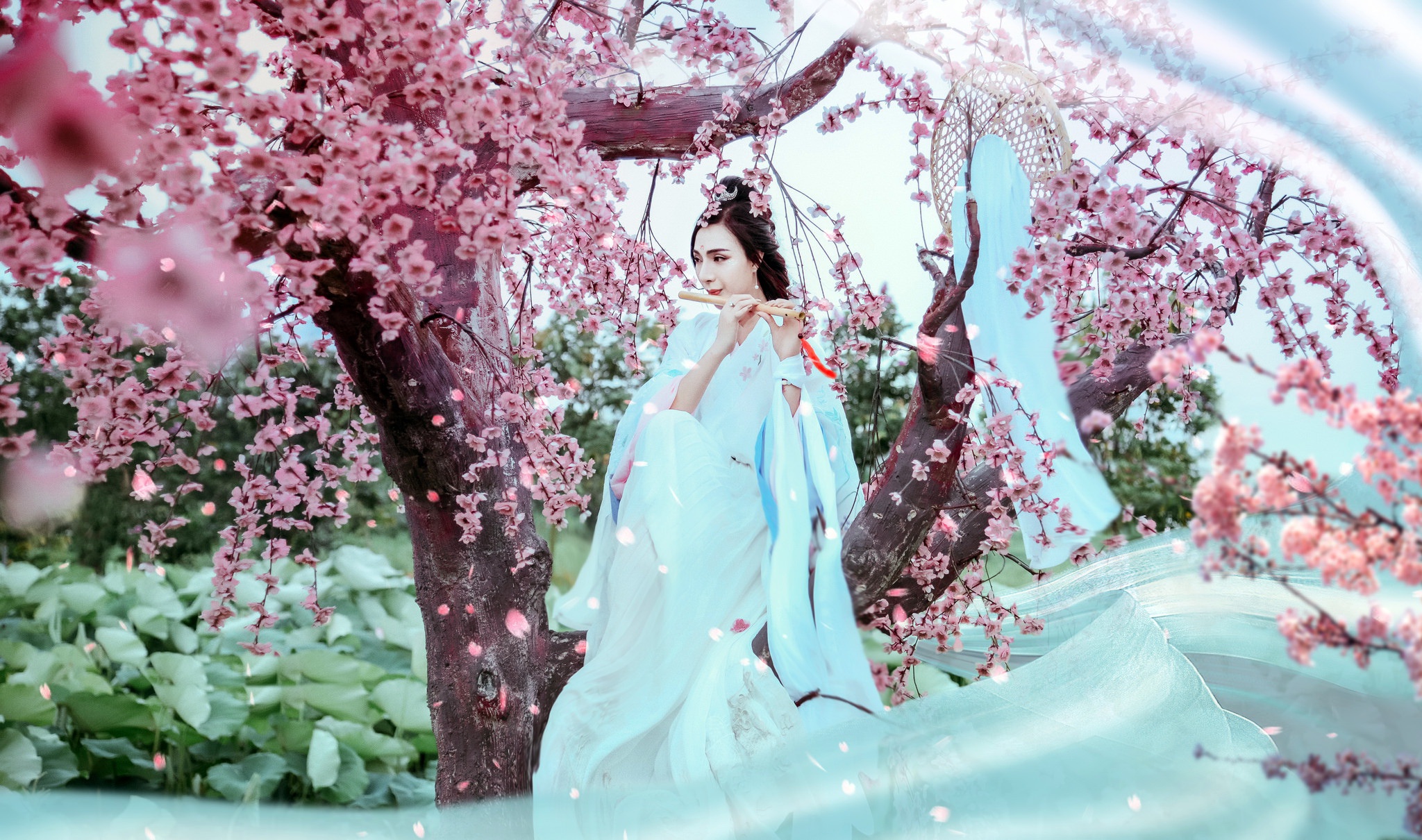 Asian Blossom Brunette Flute Girl Kimono Model Woman 2048x1210