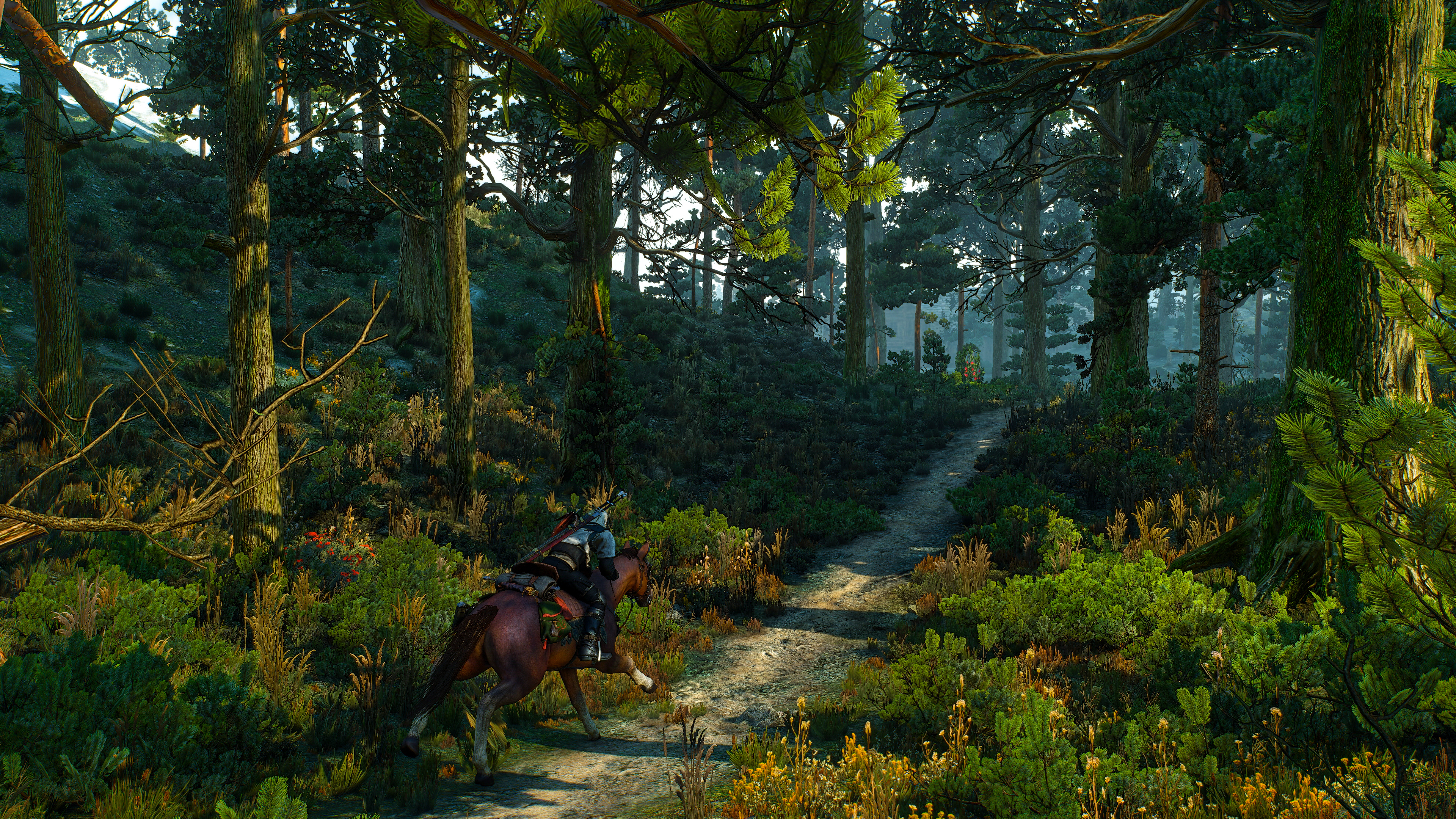 The Witcher 3 Wild Hunt Hearts Of Stone Geralt Of Rivia The Witcher 3 The Witcher 3 Wild Hunt Screen 3840x2160