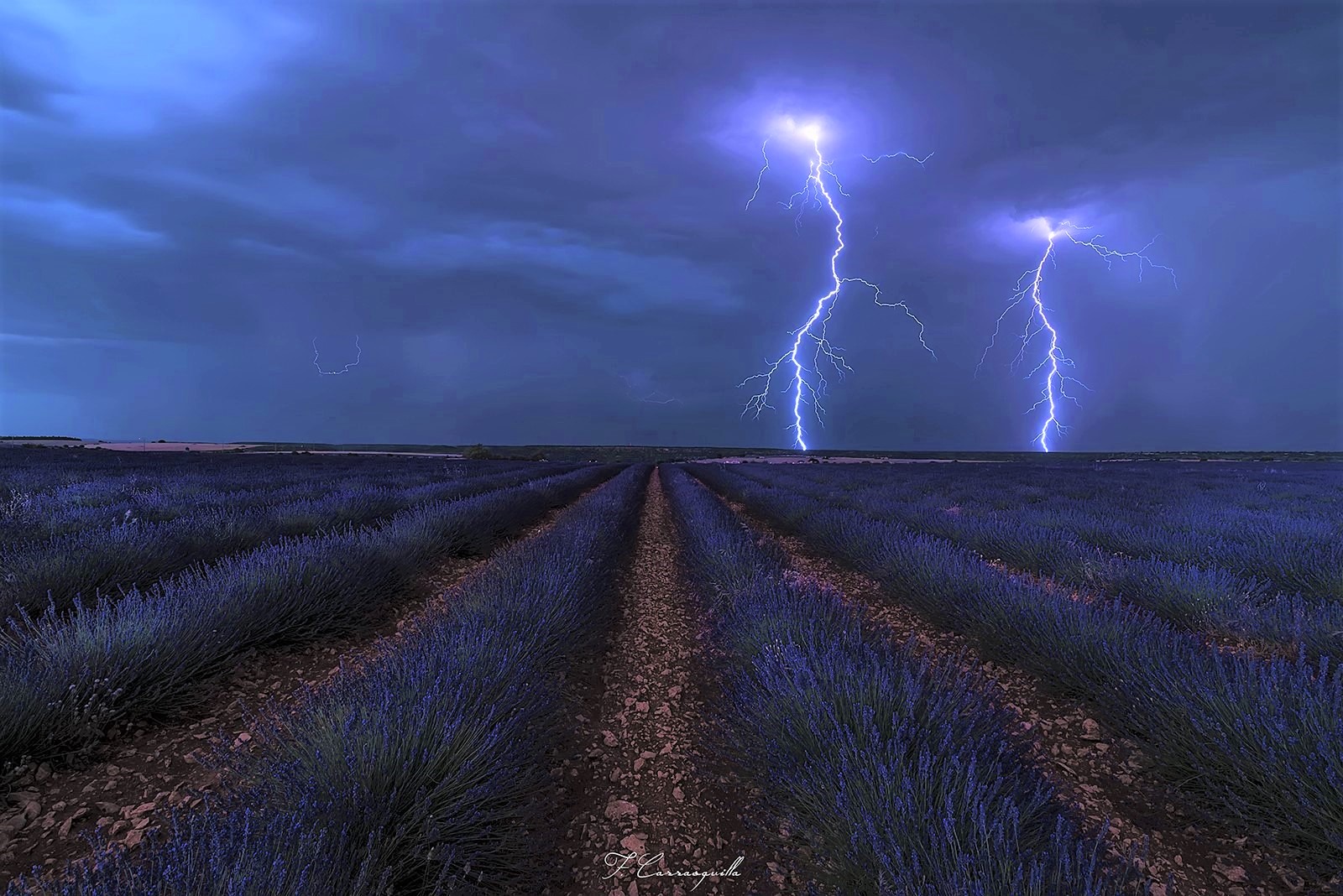 Lavender Storm Sky 1600x1068