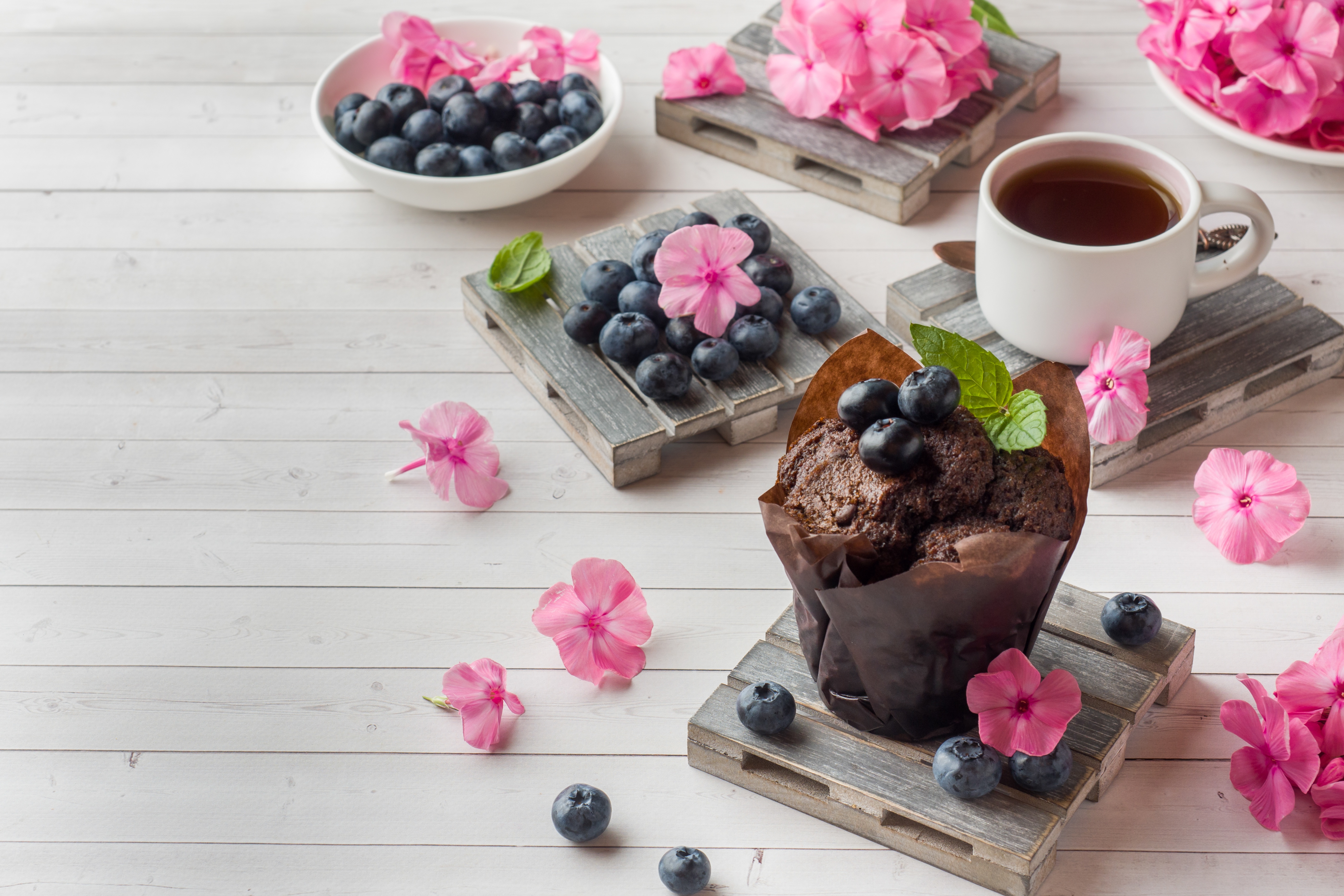 Berry Coffee Cup Blueberry Still Life Muffin 5608x3739