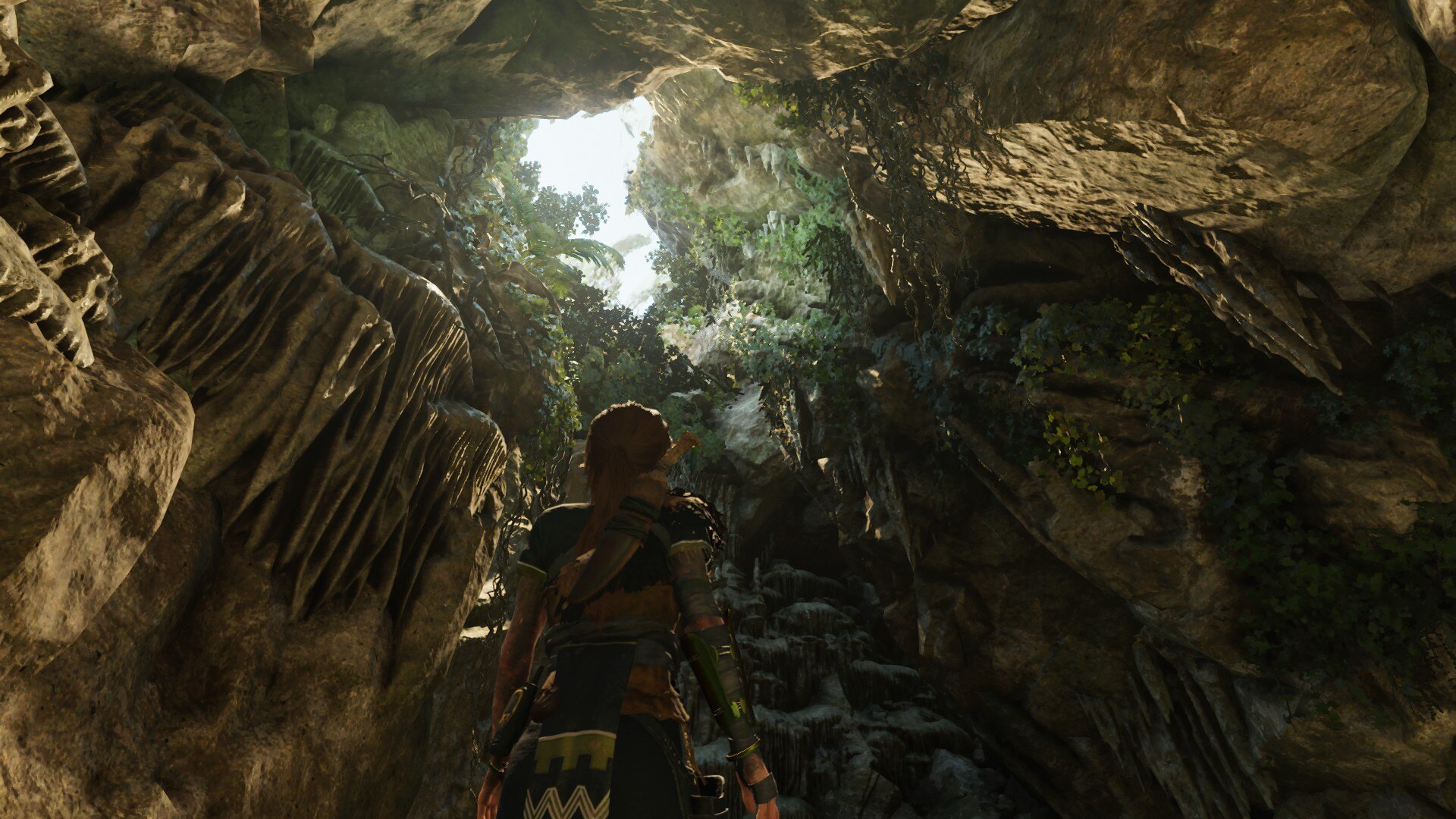 Jogos Nature Plants Shadow Of The Tomb Raider Photography 1920x1080