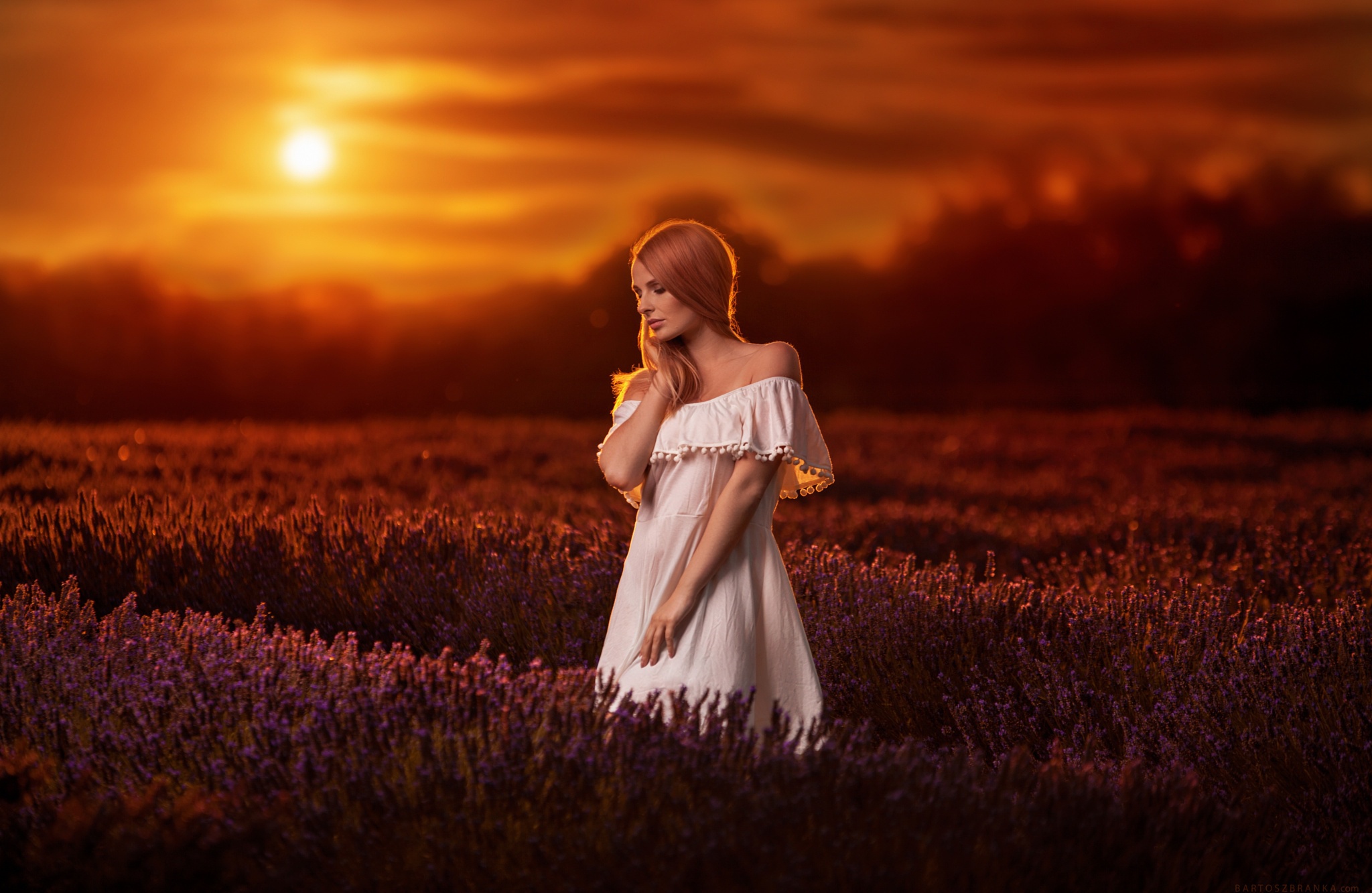 Field Flower Girl Lavender Model Redhead Sunset White Dress Woman 2048x1333