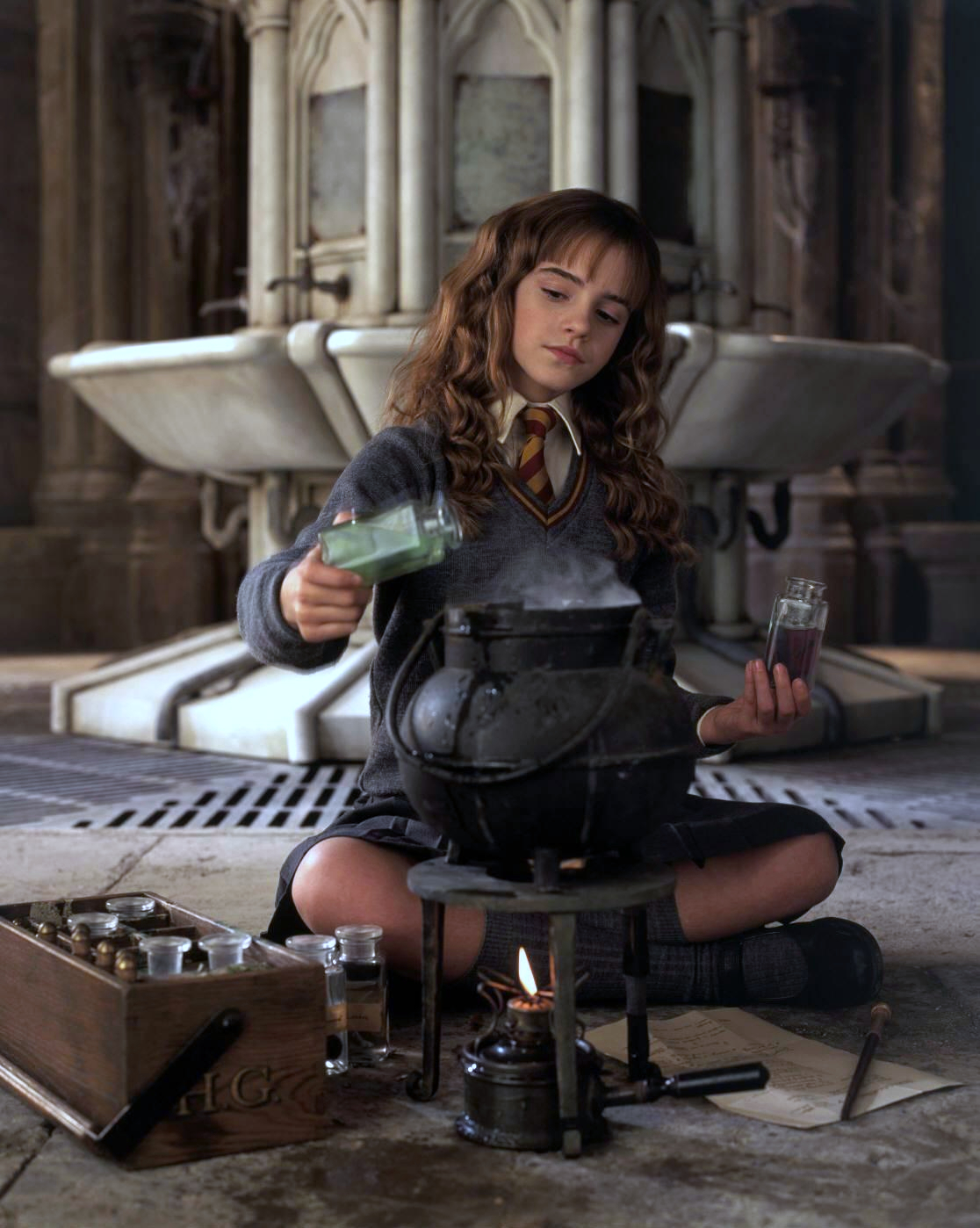 Hermione Granger Harry Potter Hogwarts Harry Potter And The Chamber Of Secrets 1116x1398