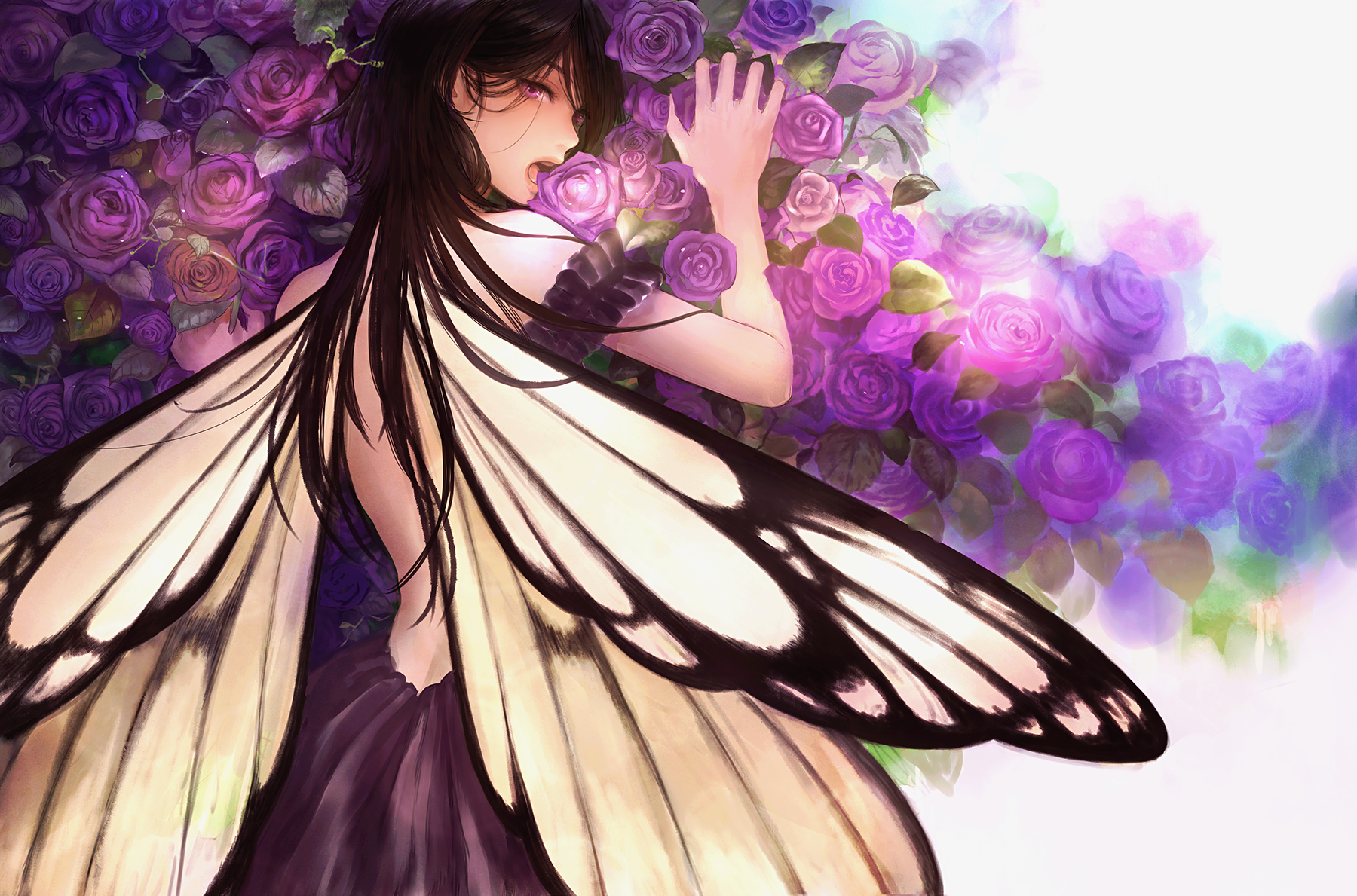 Anime Anime Girls Flowers Wings Brunette Long Hair Purple Eyes Butterfly Dress Looking At Viewer Ros 1800x1189