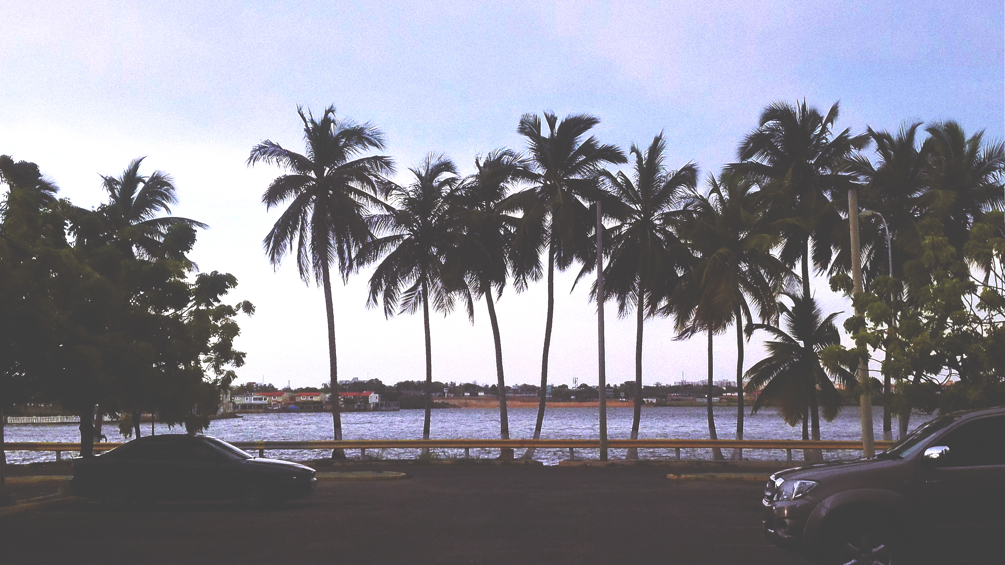 Palm Trees Vehicle Isla Dorada 3264x1836