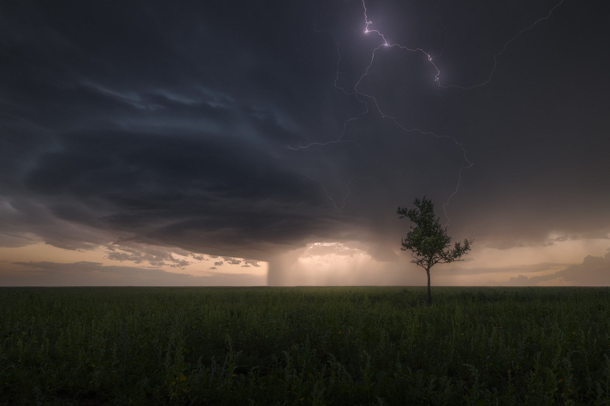 Ryan Dyar Landscape Clouds Sky Overcast Lightning Grass Field Horizon Trees Desolate 2048x1365