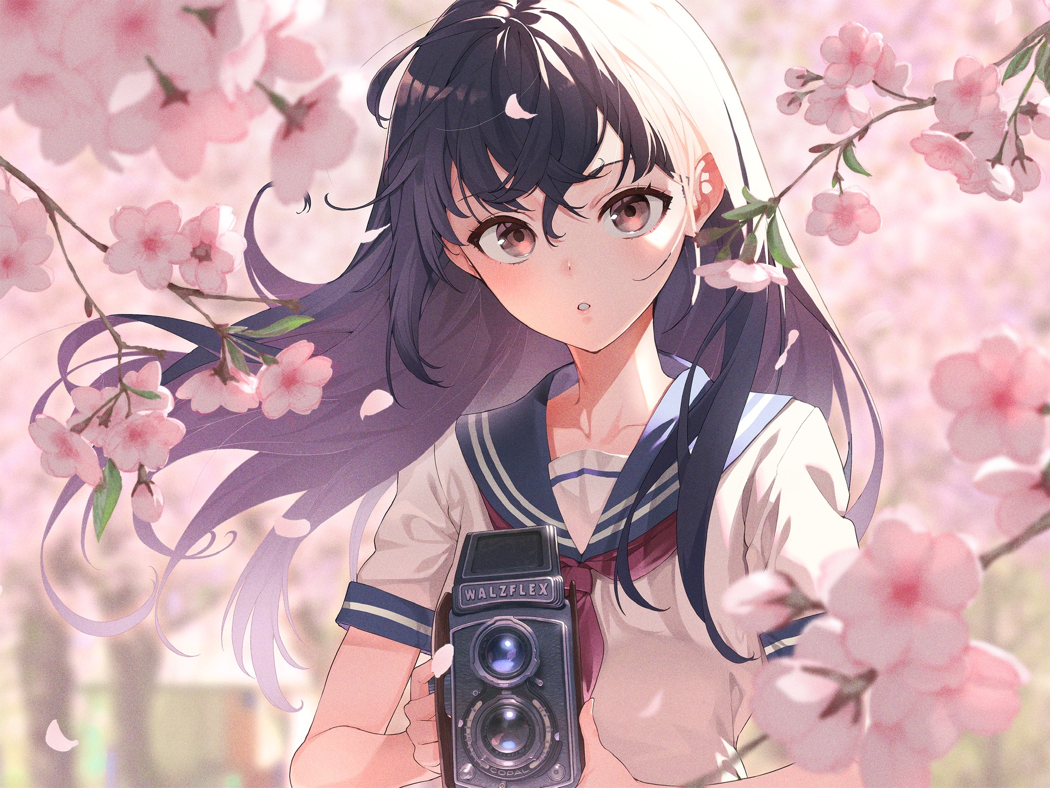 Anime Anime Girls Camera Cherry Blossom School Uniform Dark Hair Brown Eyes Kabu Artwork 2048x1536