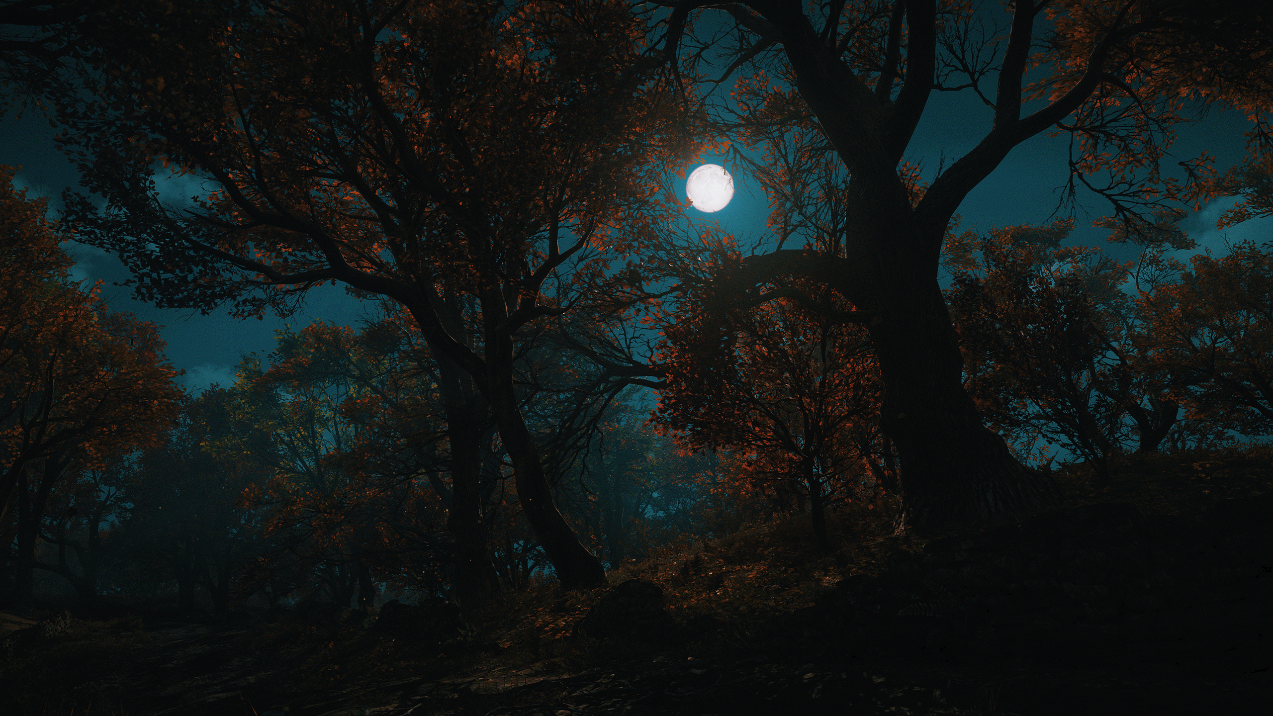 Assassins Creed Valhalla Reshade Forest Full Moon Fall Snow Winter Raven Night 2560x1440