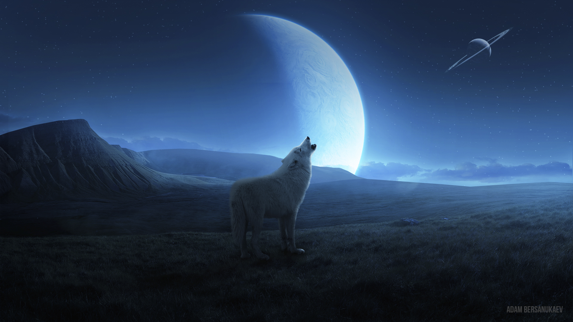 Landscape Night Planet Stars Animals Wildlife Wolf 1920x1080