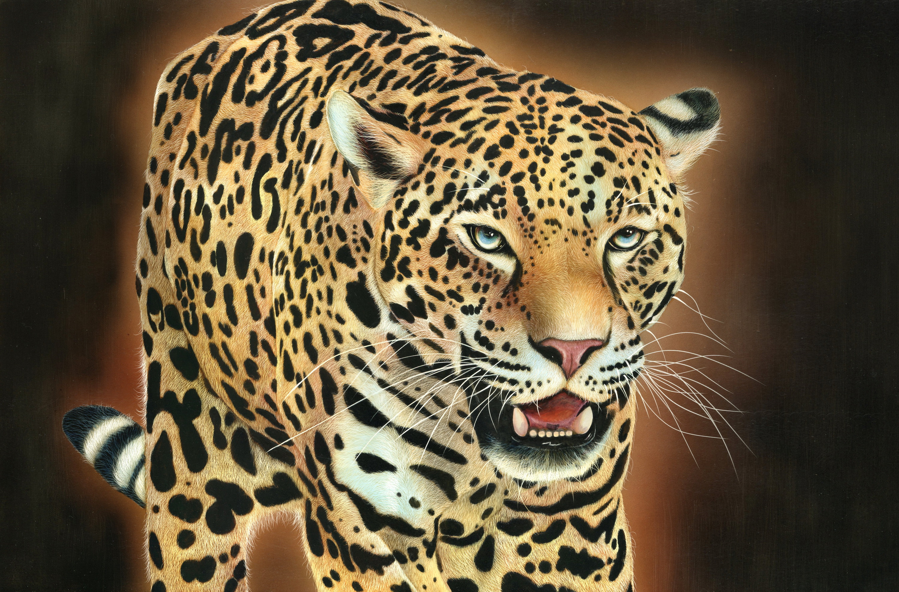 Animal Leopard 3000x1976